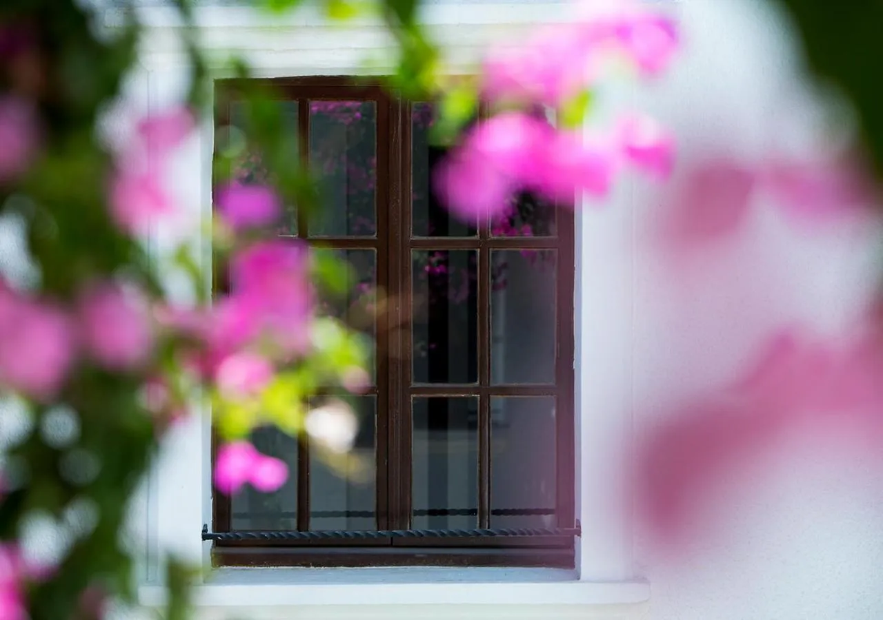 Garden in Hotel Karia Princess