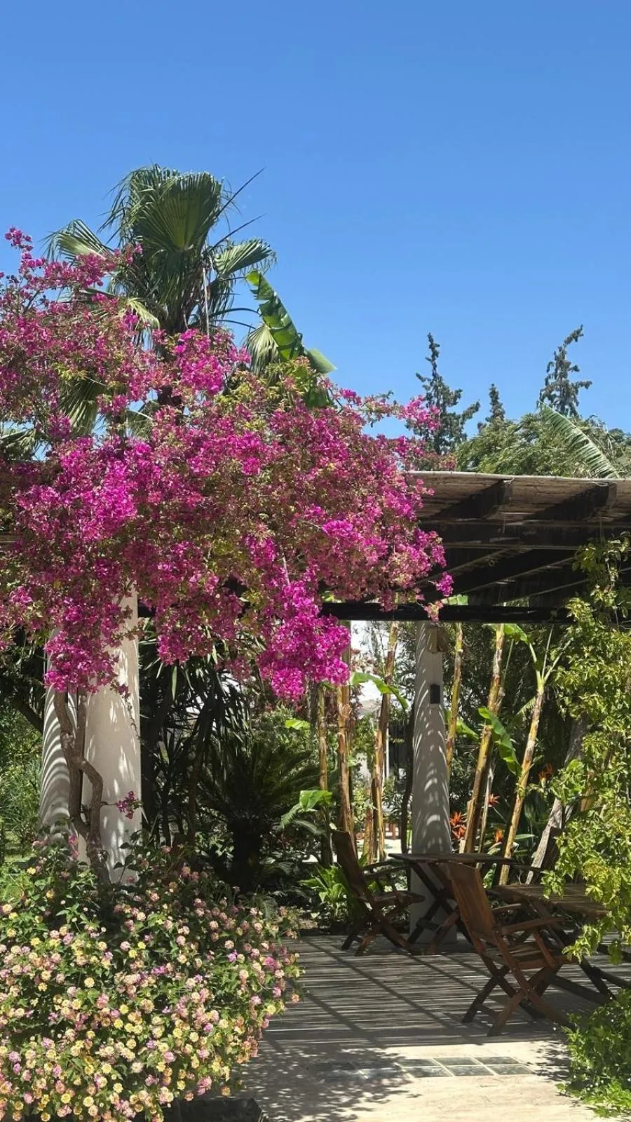 Garden in Hotel Karia Princess