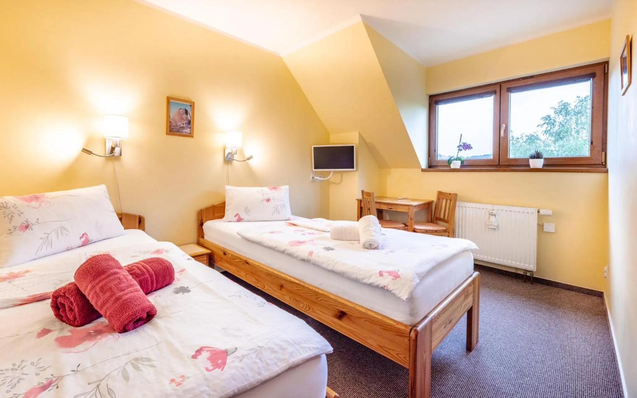 Twin Room - single occupancy in Pension Čtyřlístek