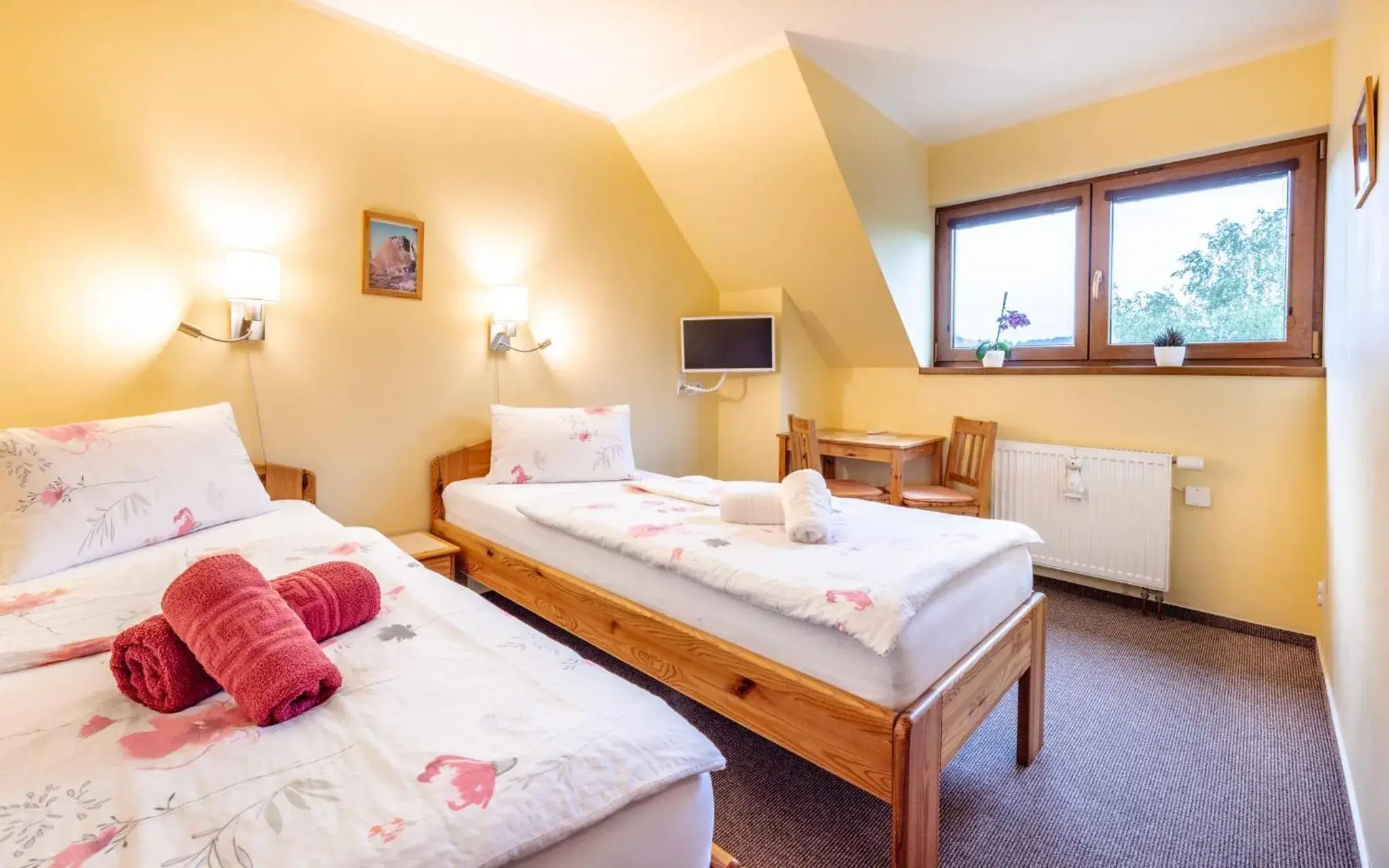 Twin Room - single occupancy in Pension Čtyřlístek Twin Room - single occupancy in Pension Čtyřlístek