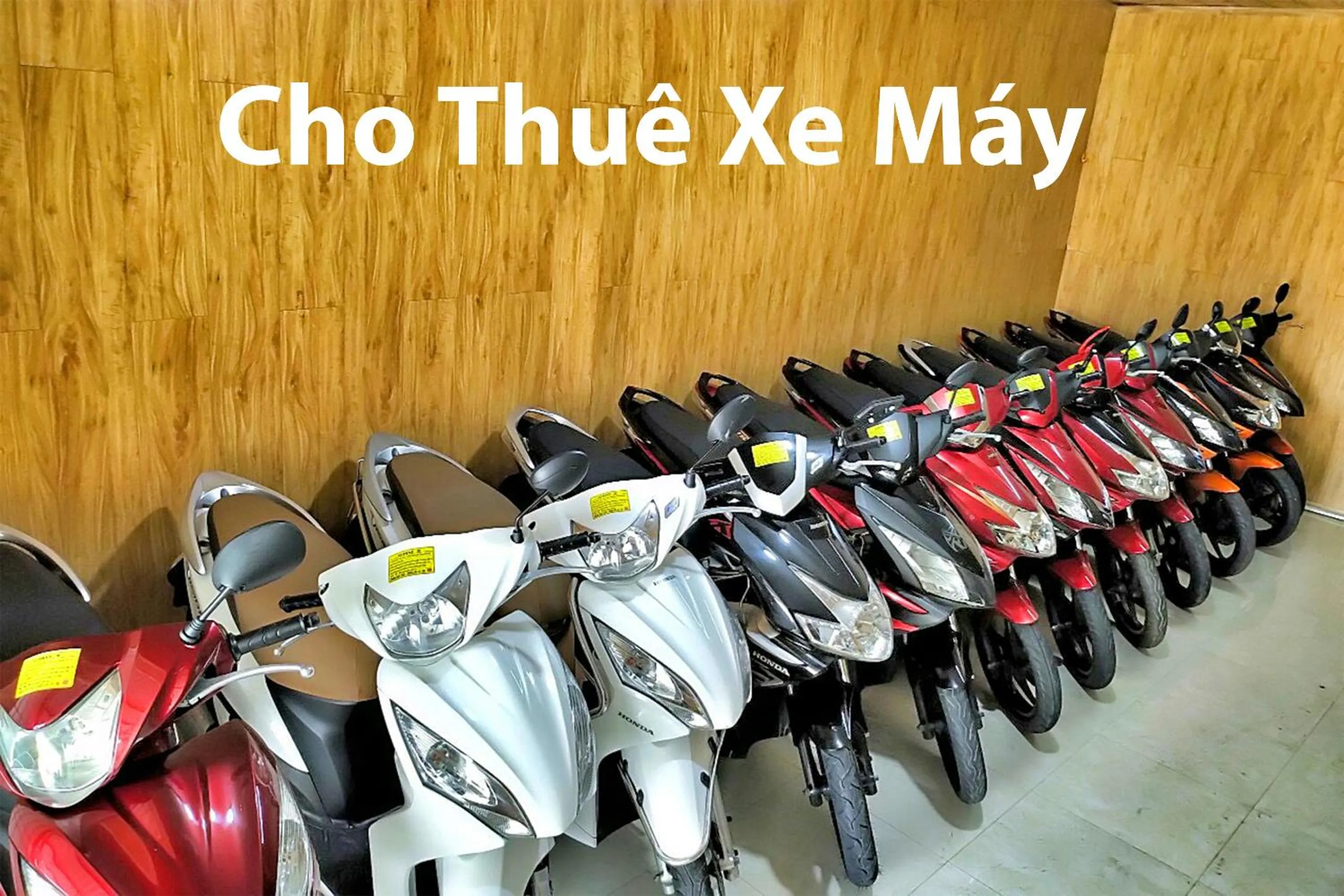 Activities in Jolie House