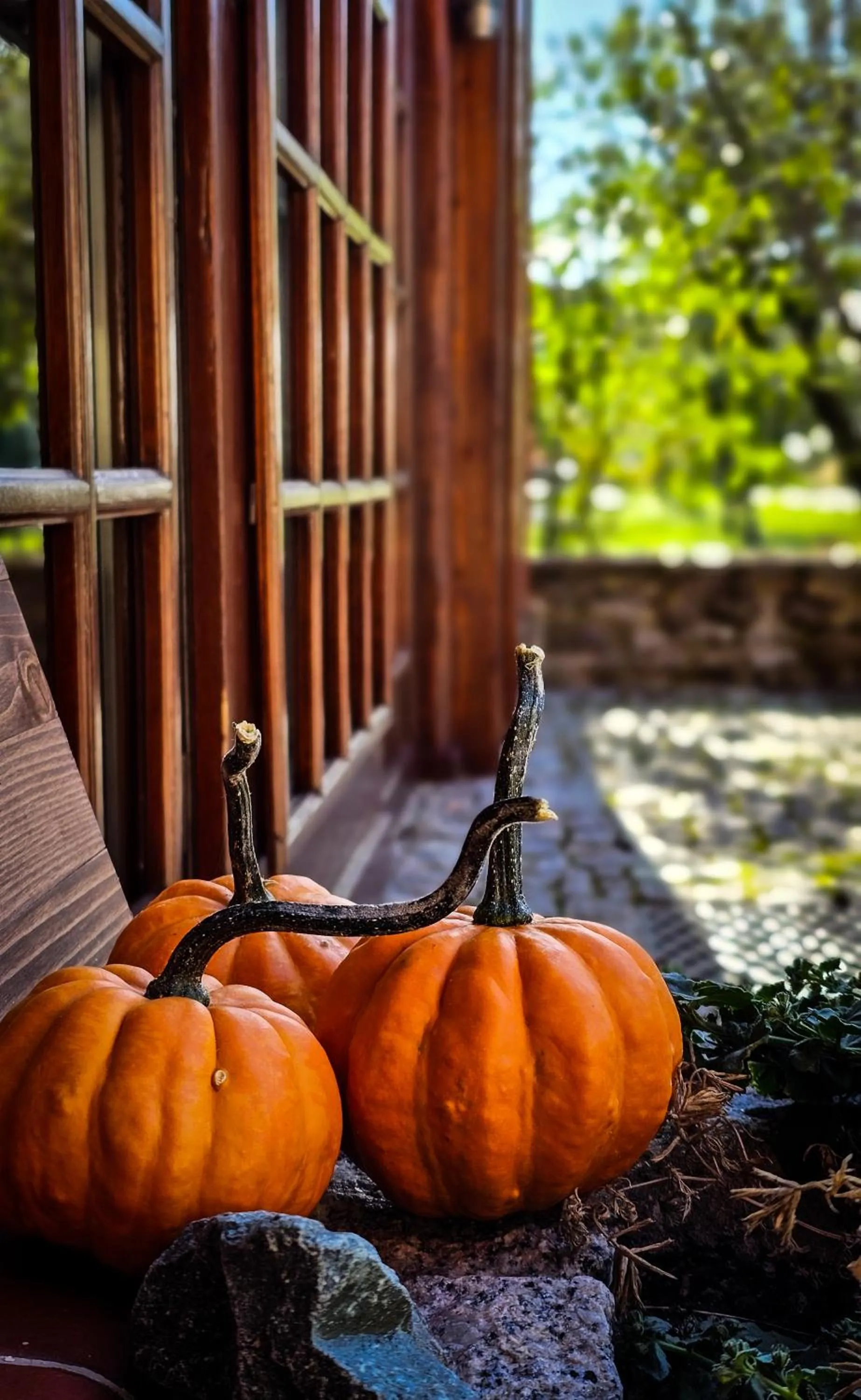 Day in Gościniec Gryszczeniówka & SPA