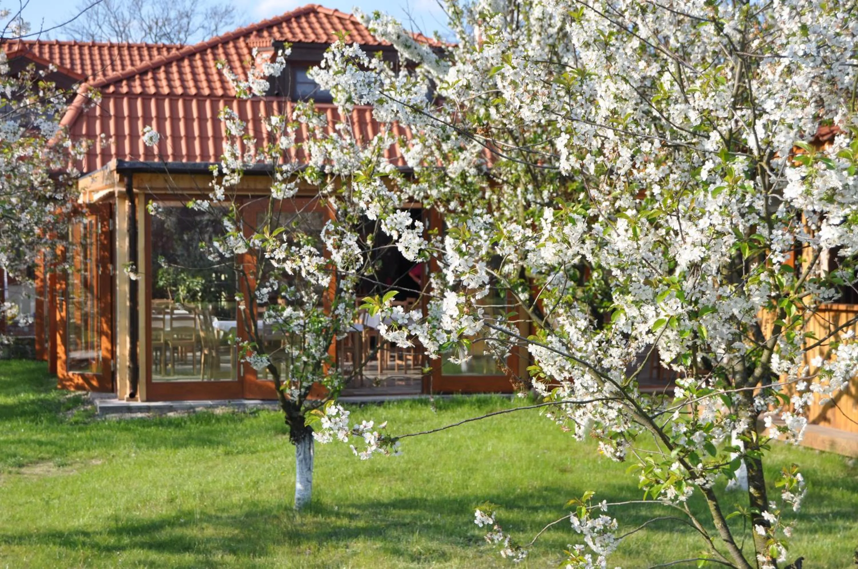 Garden in Gościniec Gryszczeniówka & SPA
