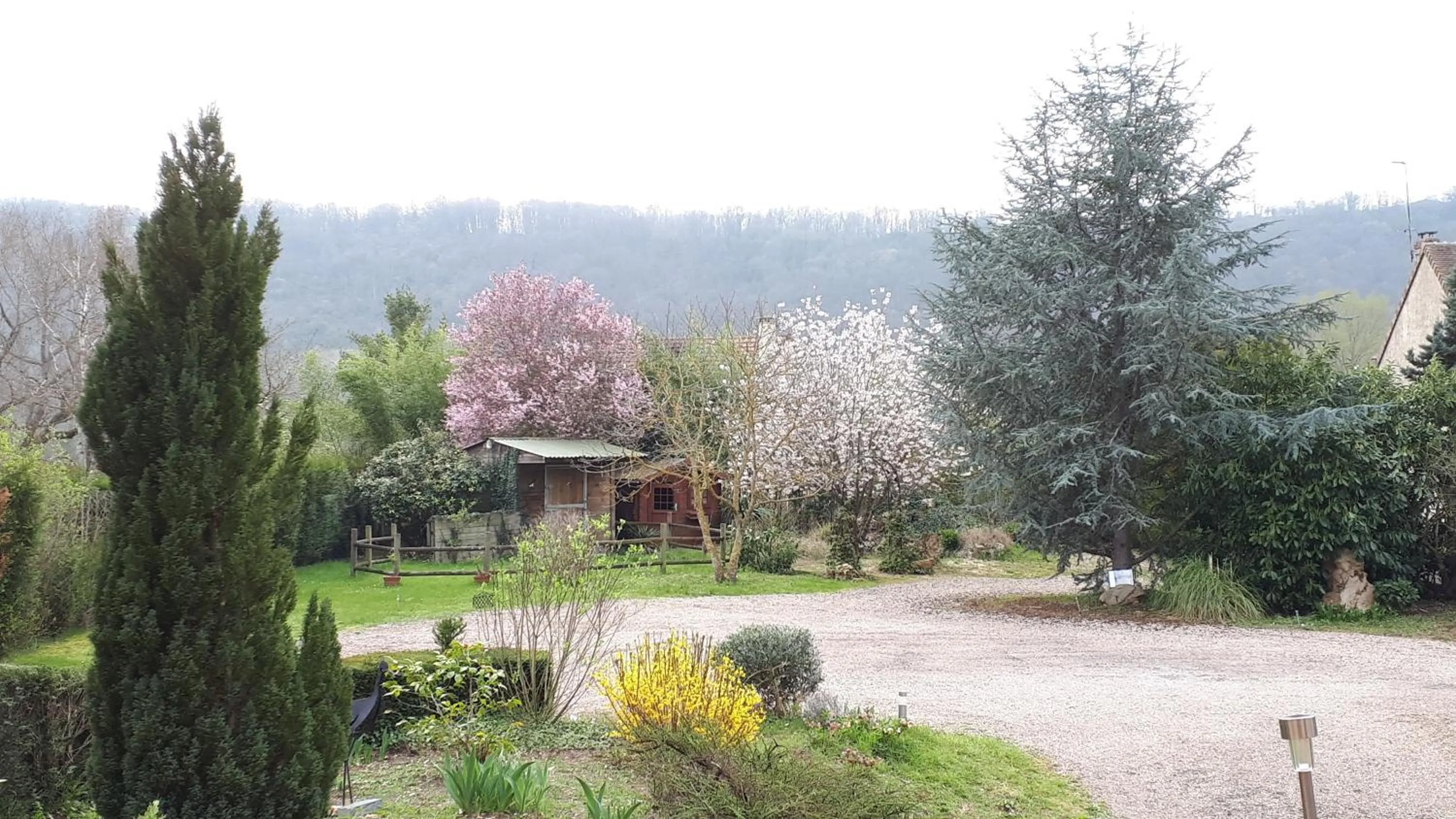Garden view in Couleurs du temps - pres Giverny
