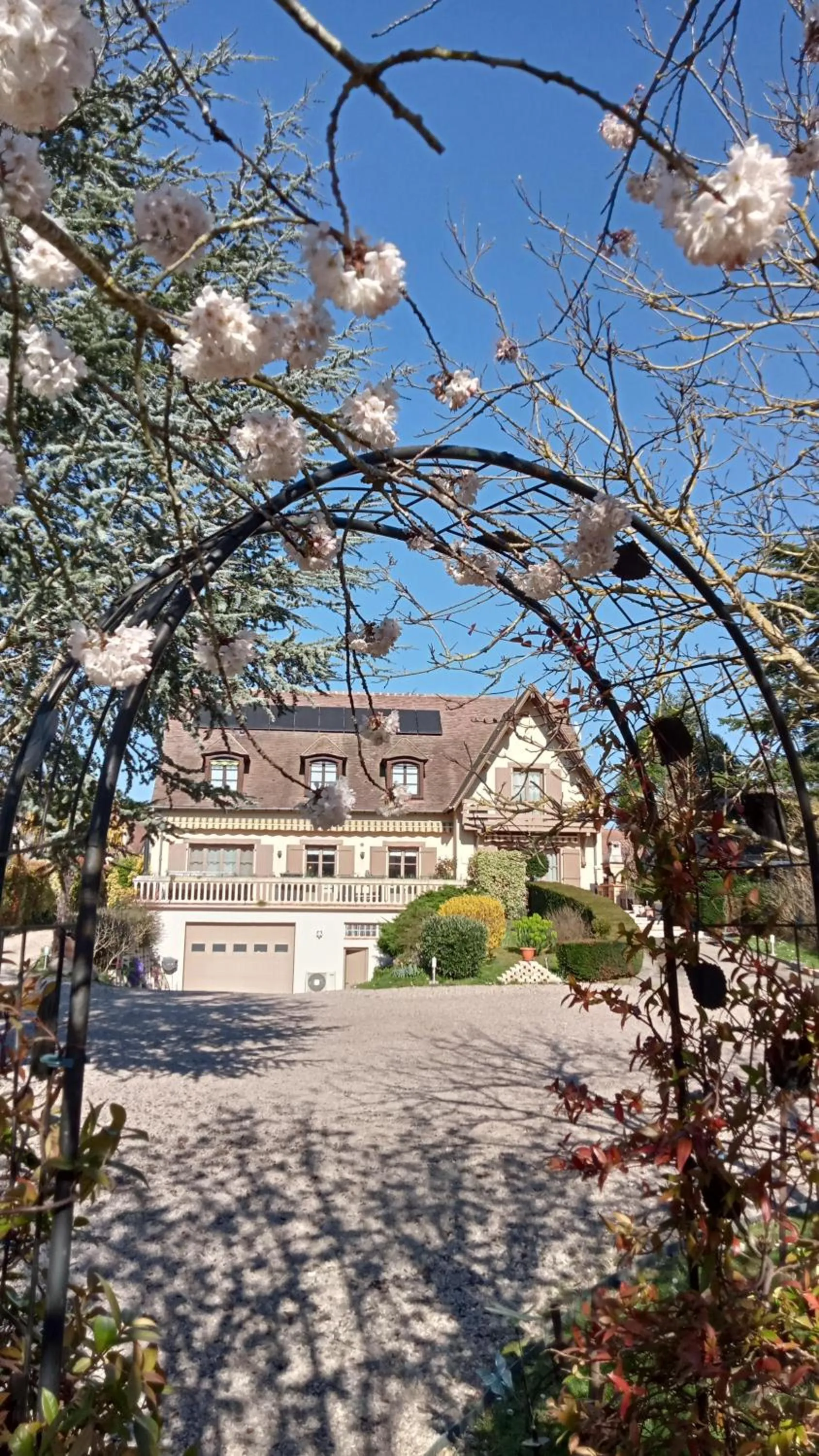 Garden in Couleurs du temps - pres Giverny