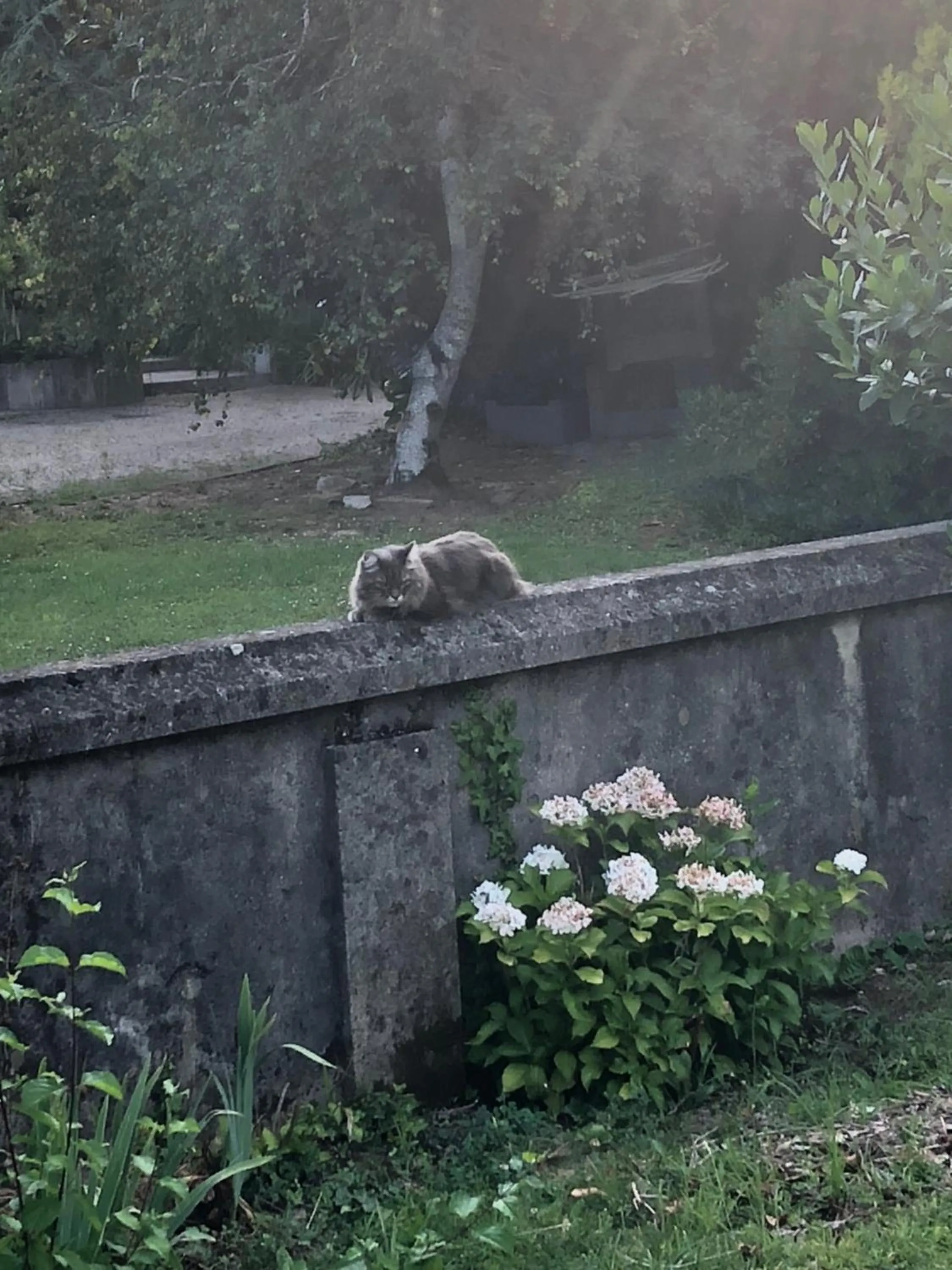 Property building in B&B la Serenissima