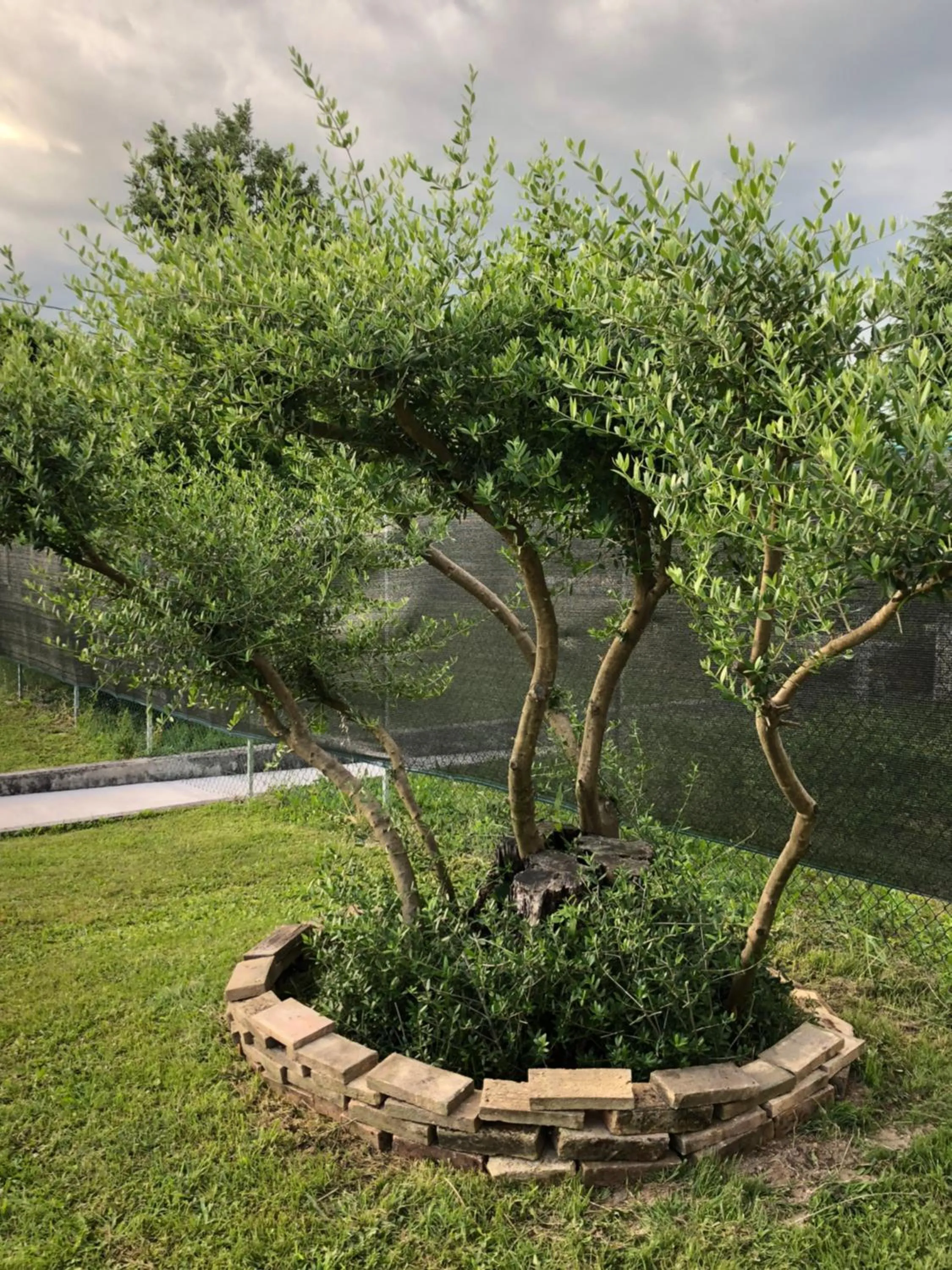 Property building in B&B la Serenissima