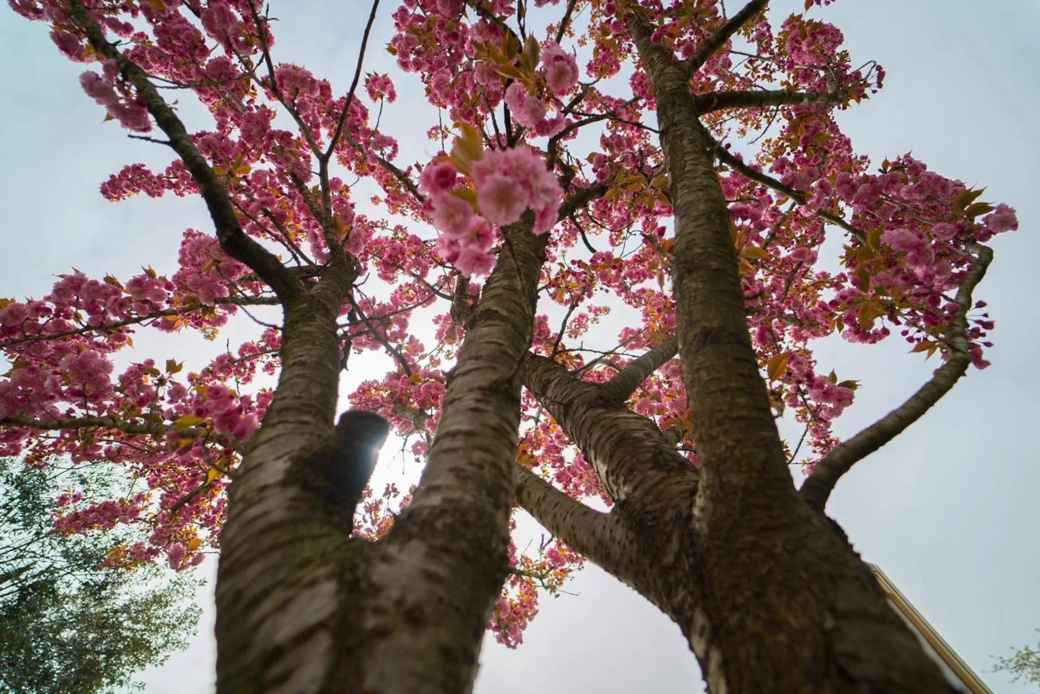 Property building in B&B la Serenissima