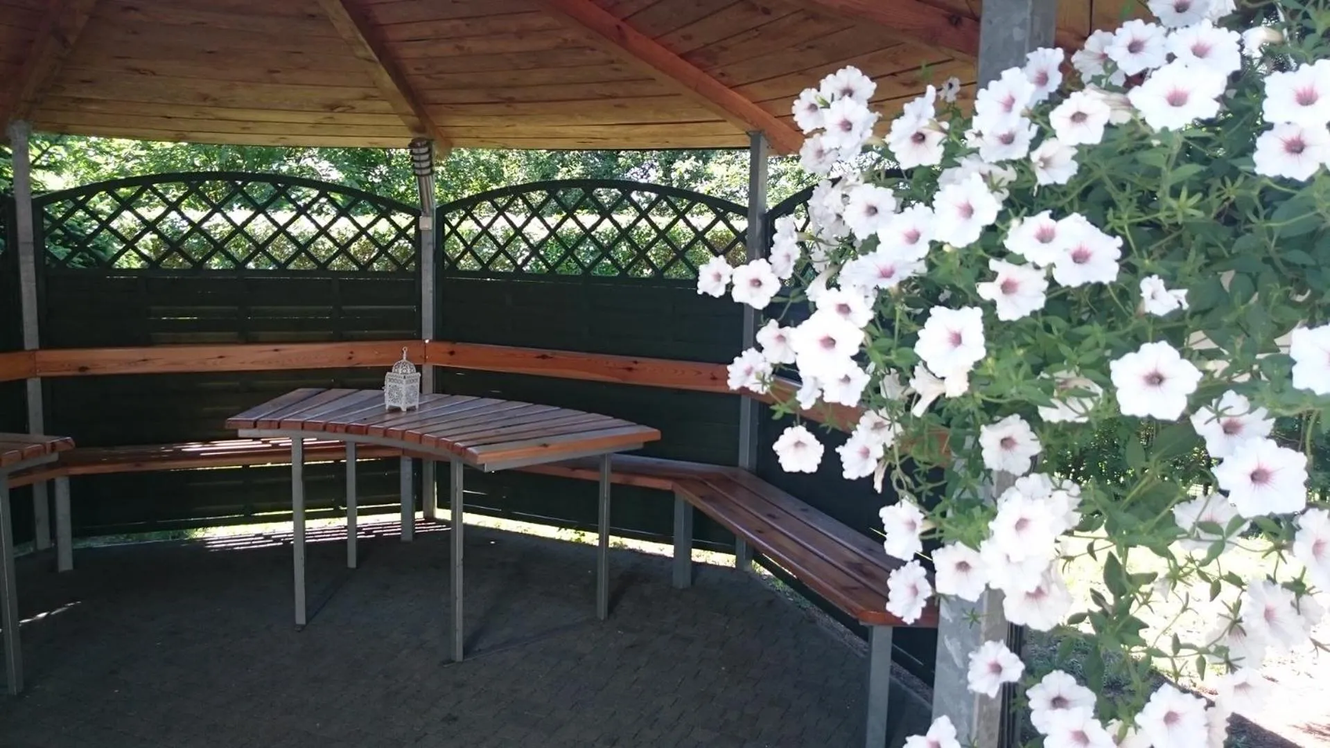 Patio in ET Nocleg