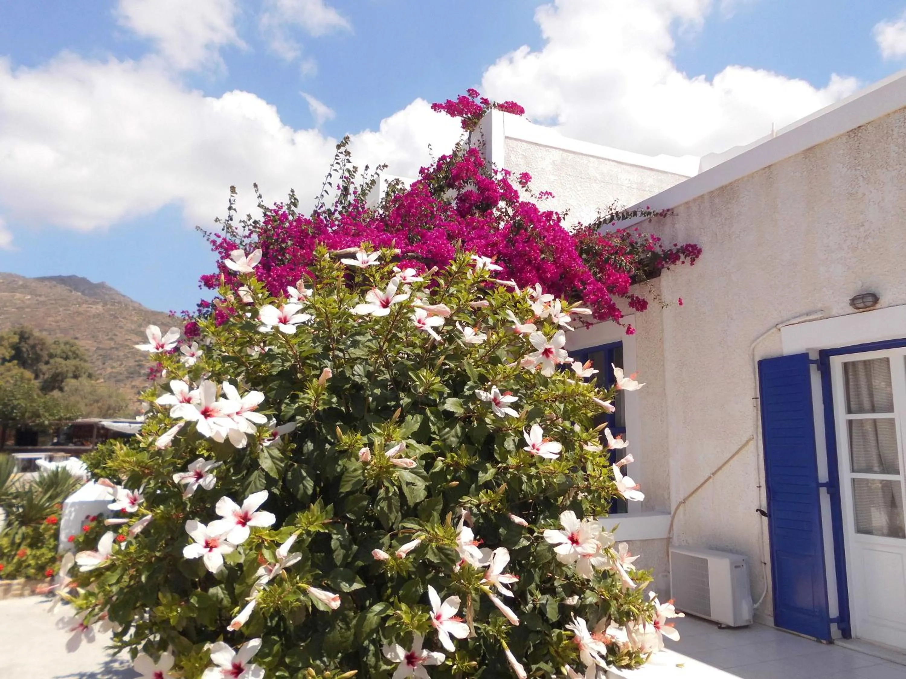 Balcony/Terrace in Paradise Apartments Studios