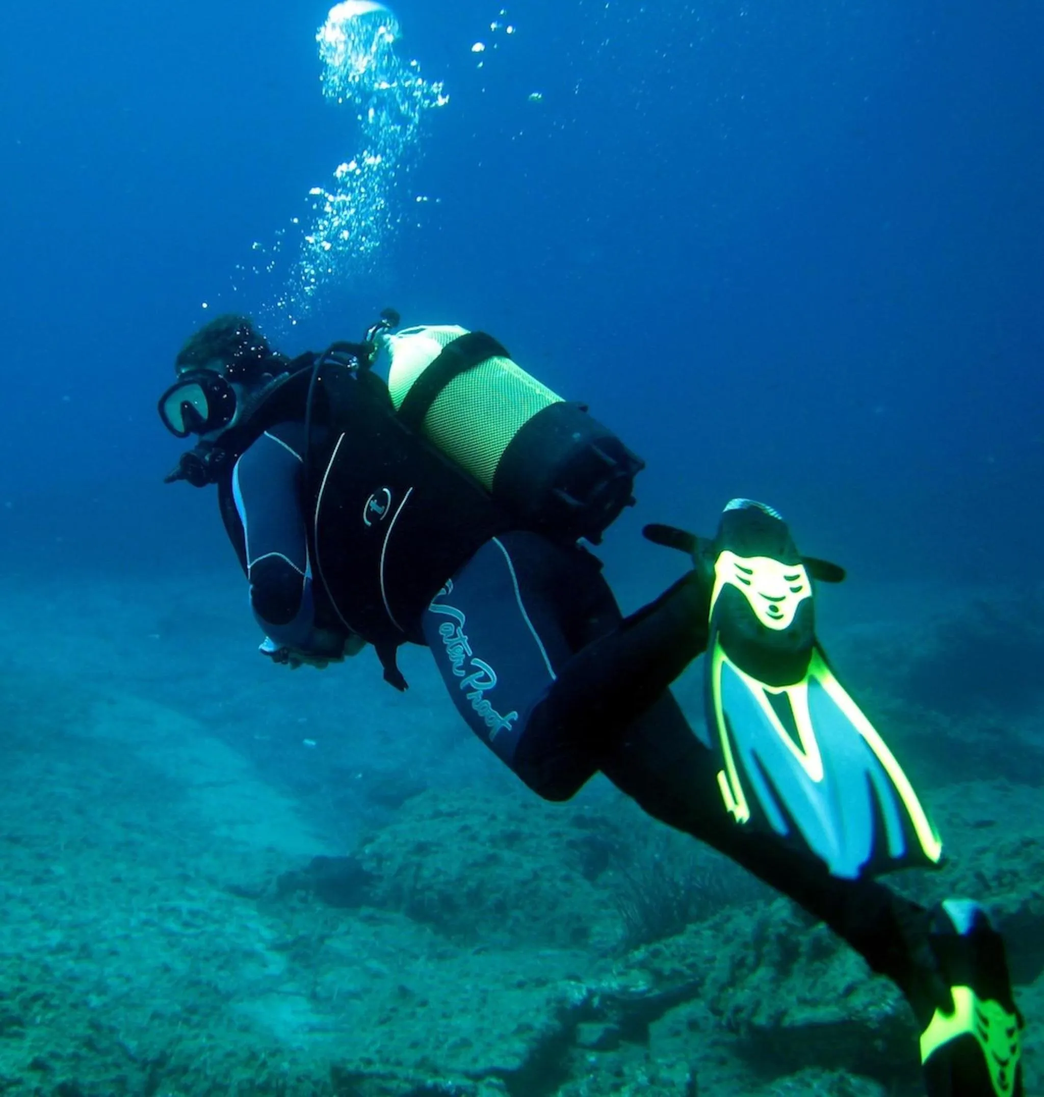 Diving in Paradise Apartments Studios