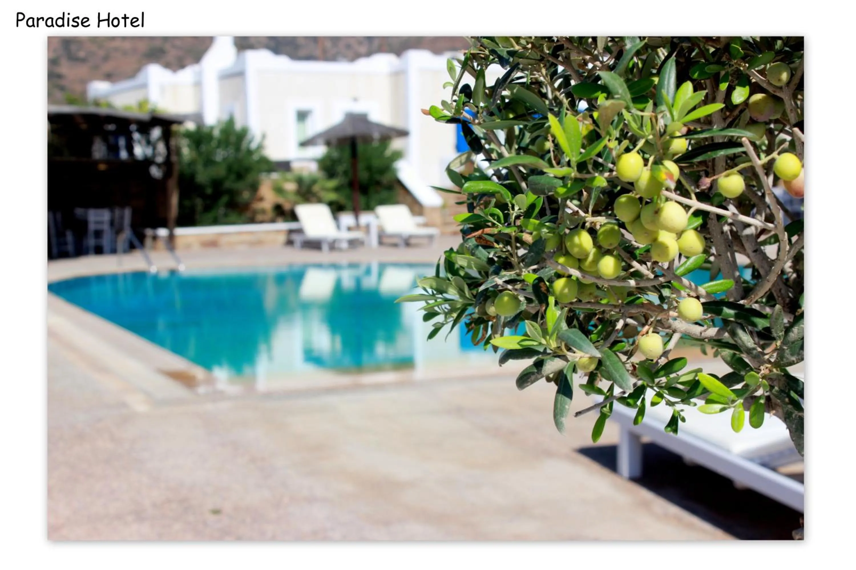 Property building in Paradise Apartments Studios