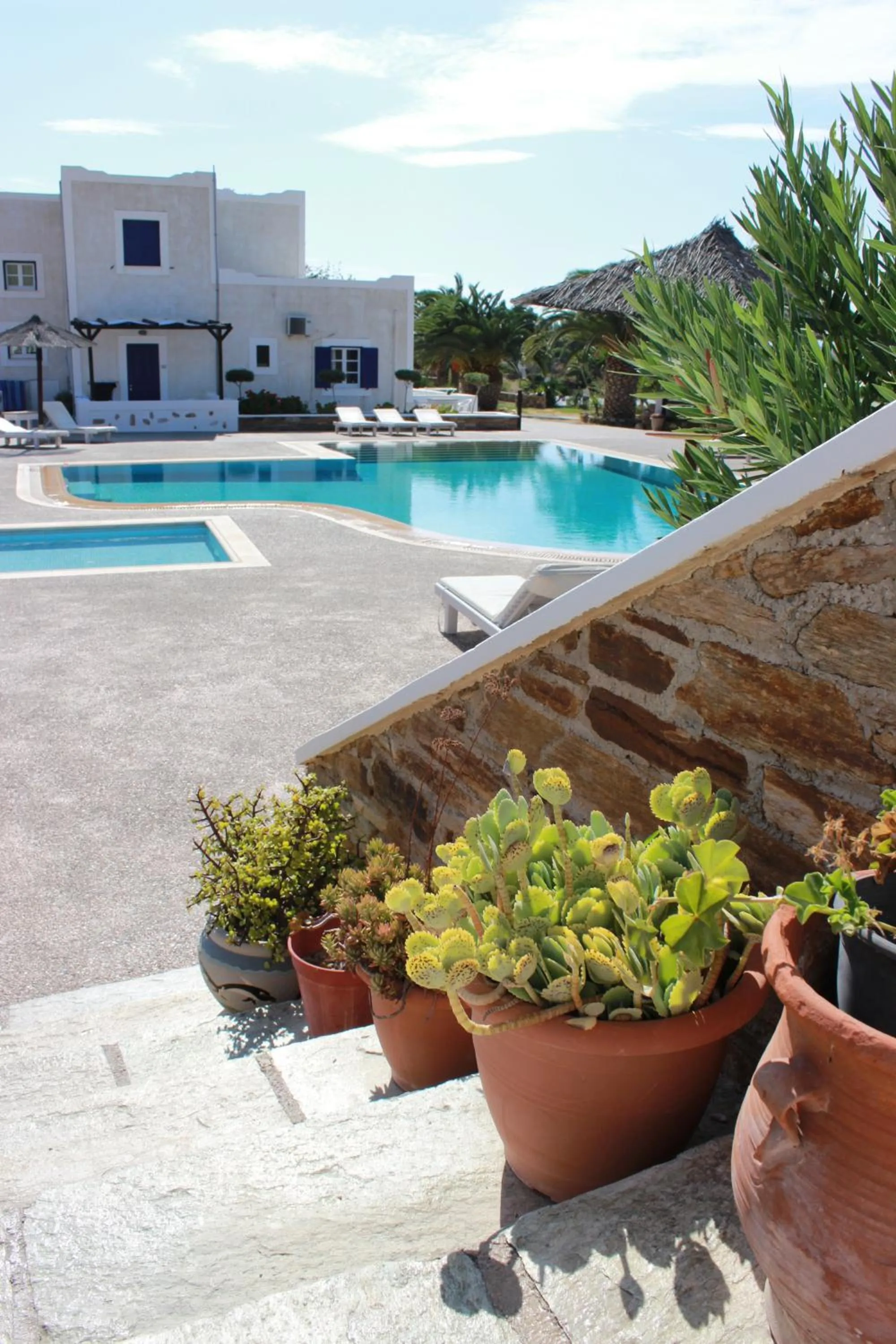 Swimming pool in Paradise Apartments Studios