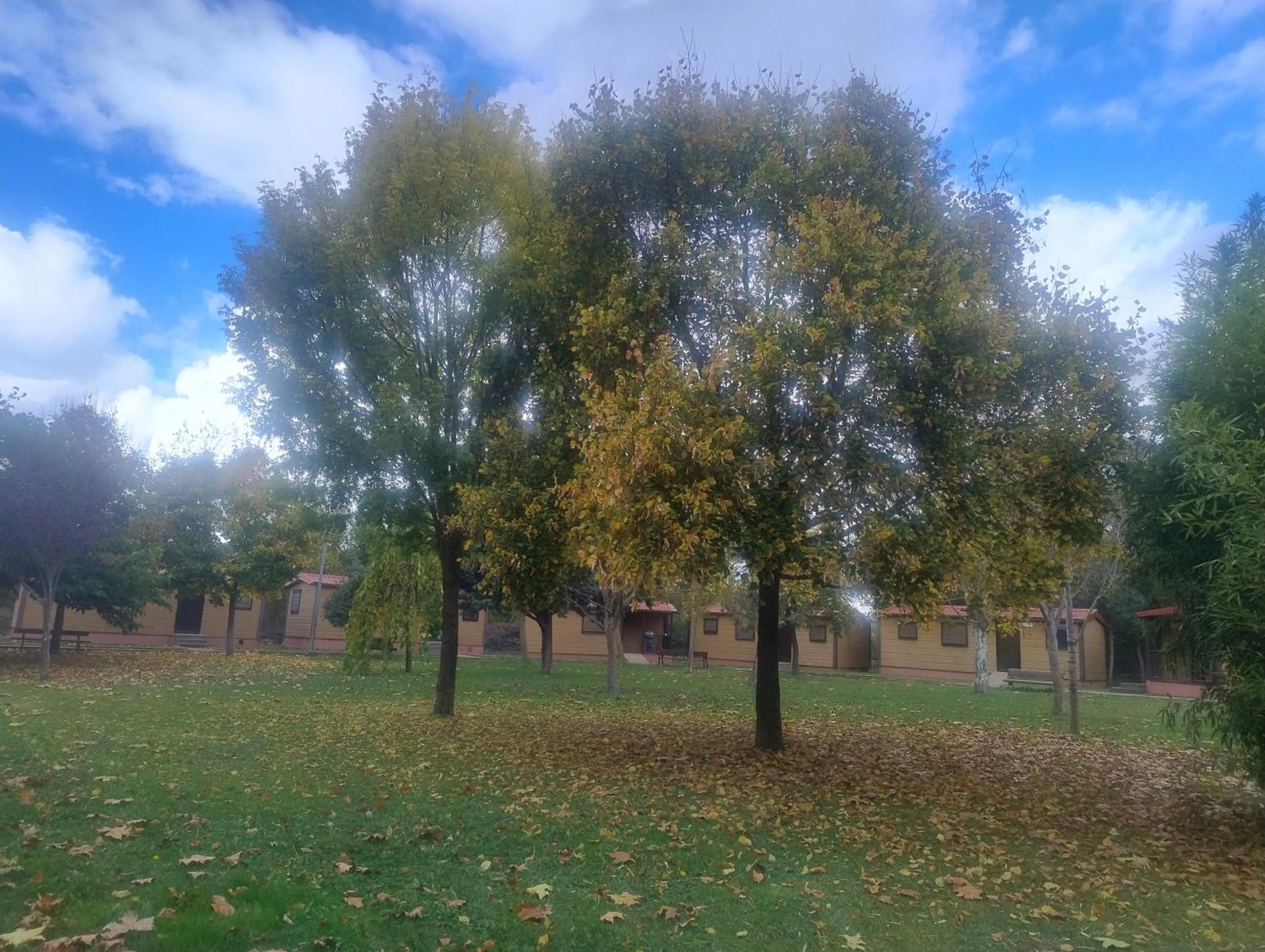 Bungalows Granja Escuela Arlanzón