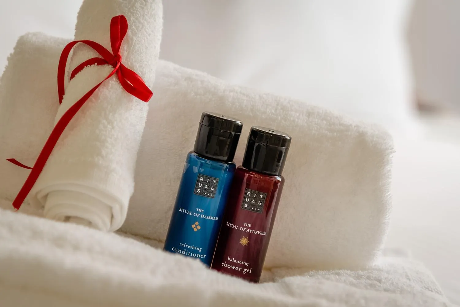 Other in Salamanca Luxury Plaza