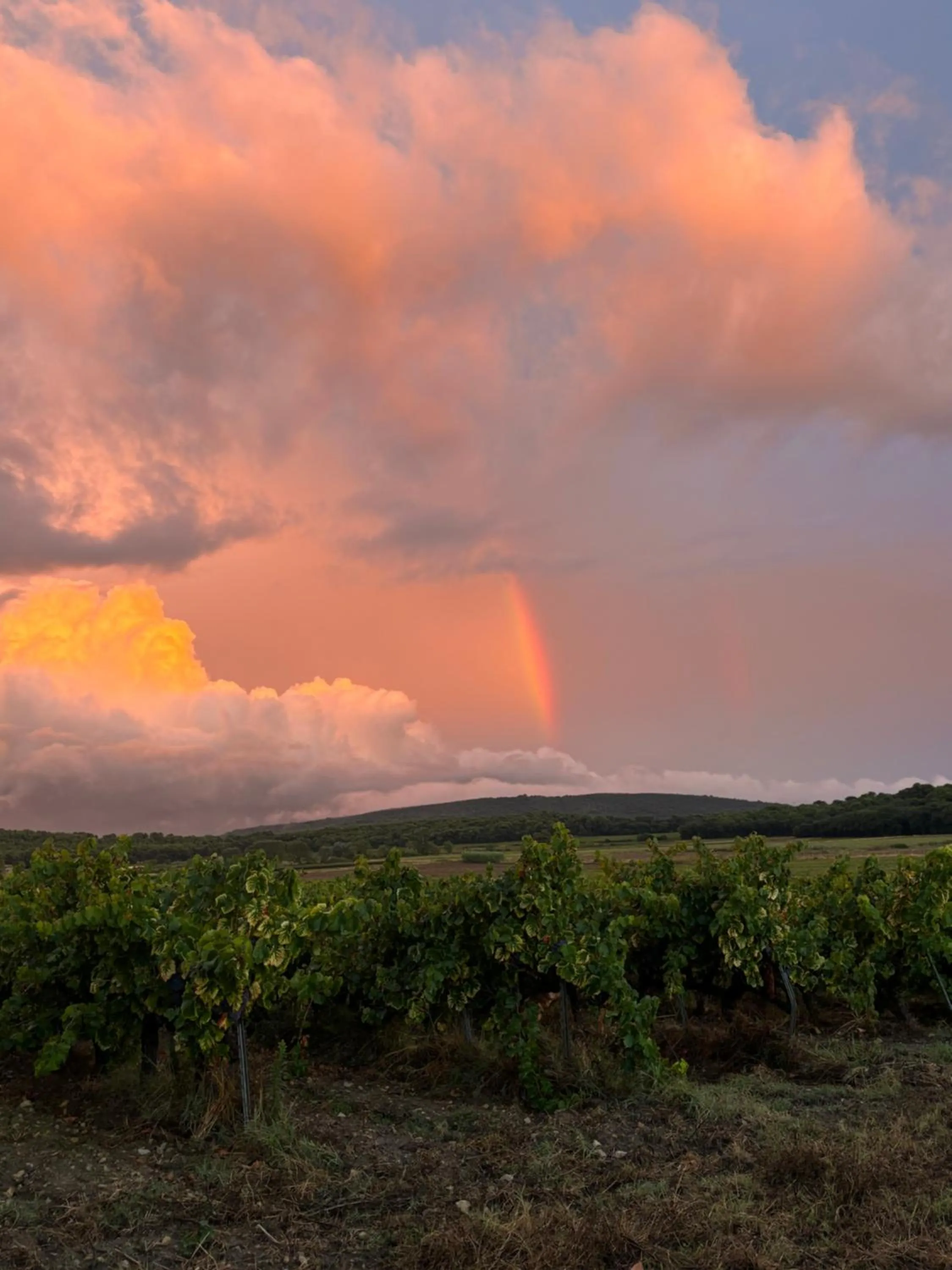 Natural landscape in Domaine du Commandeur