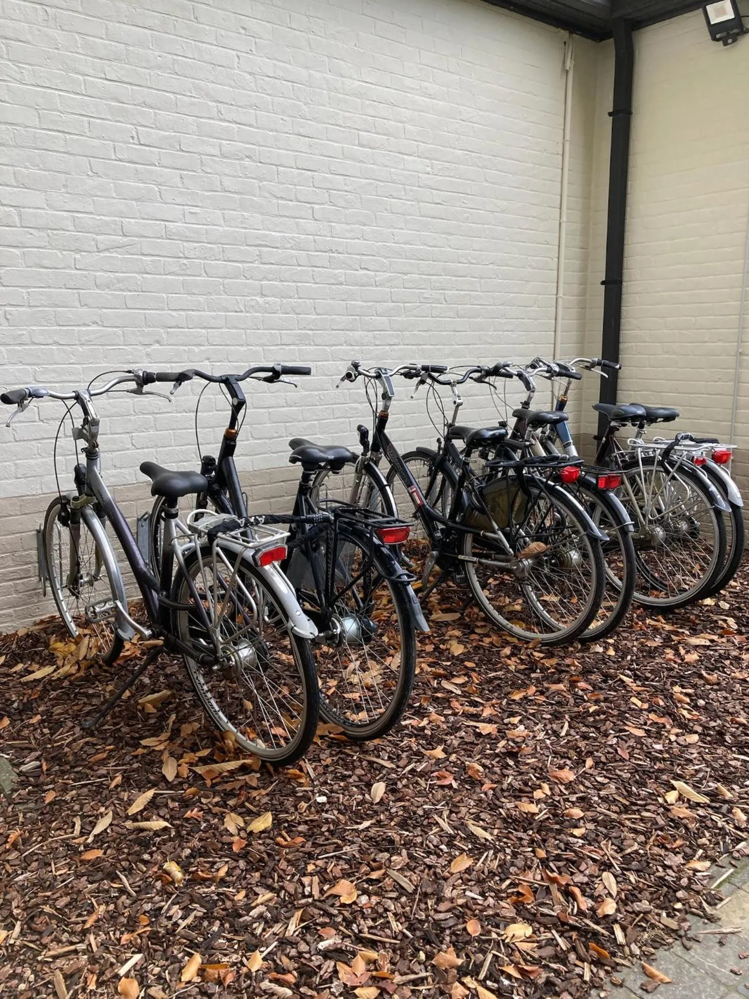 Cycling in Atlas Guesthouse
