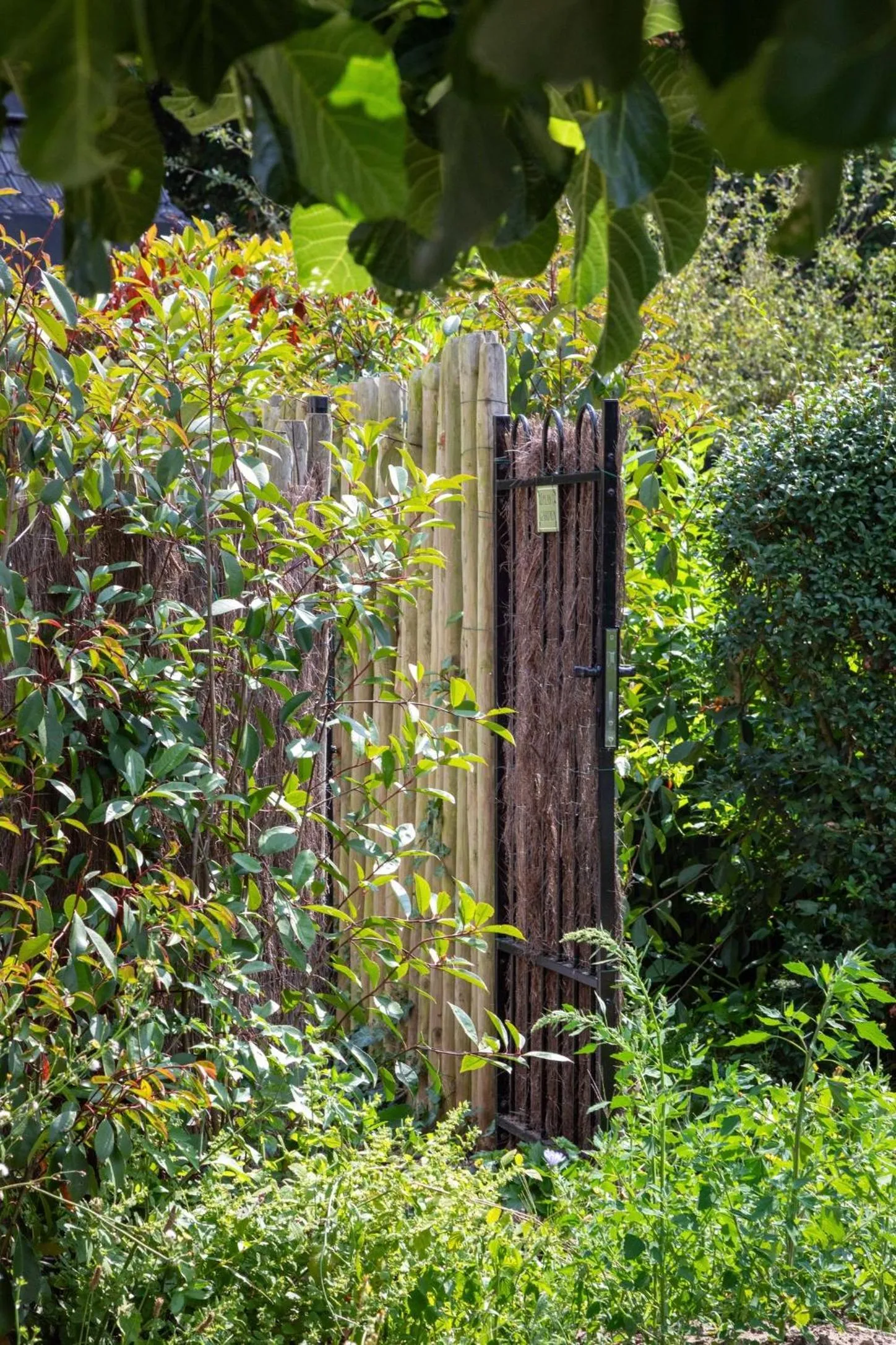 Garden in Atlas Guesthouse