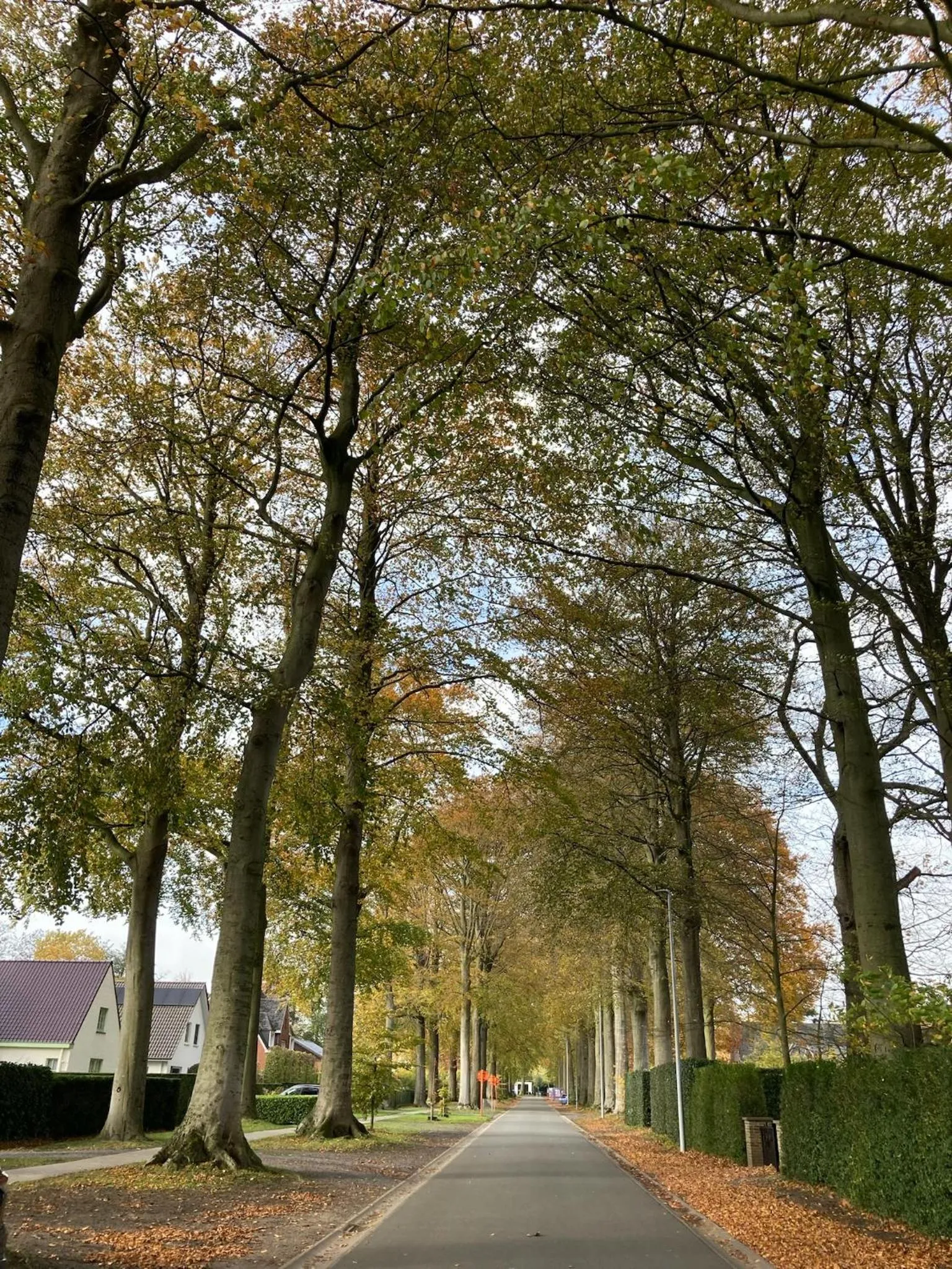 Day in Atlas Guesthouse