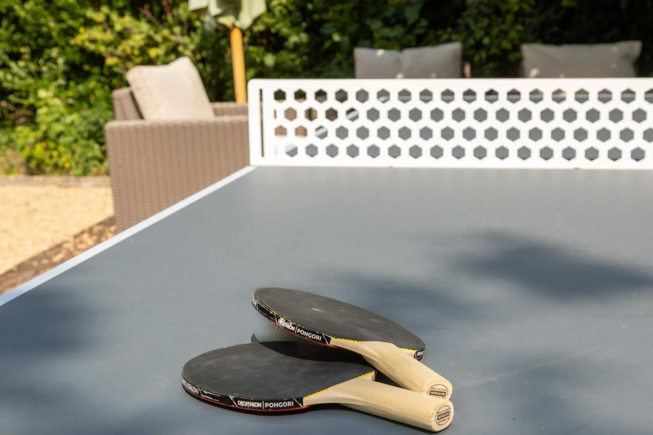 Garden in Atlas Guesthouse