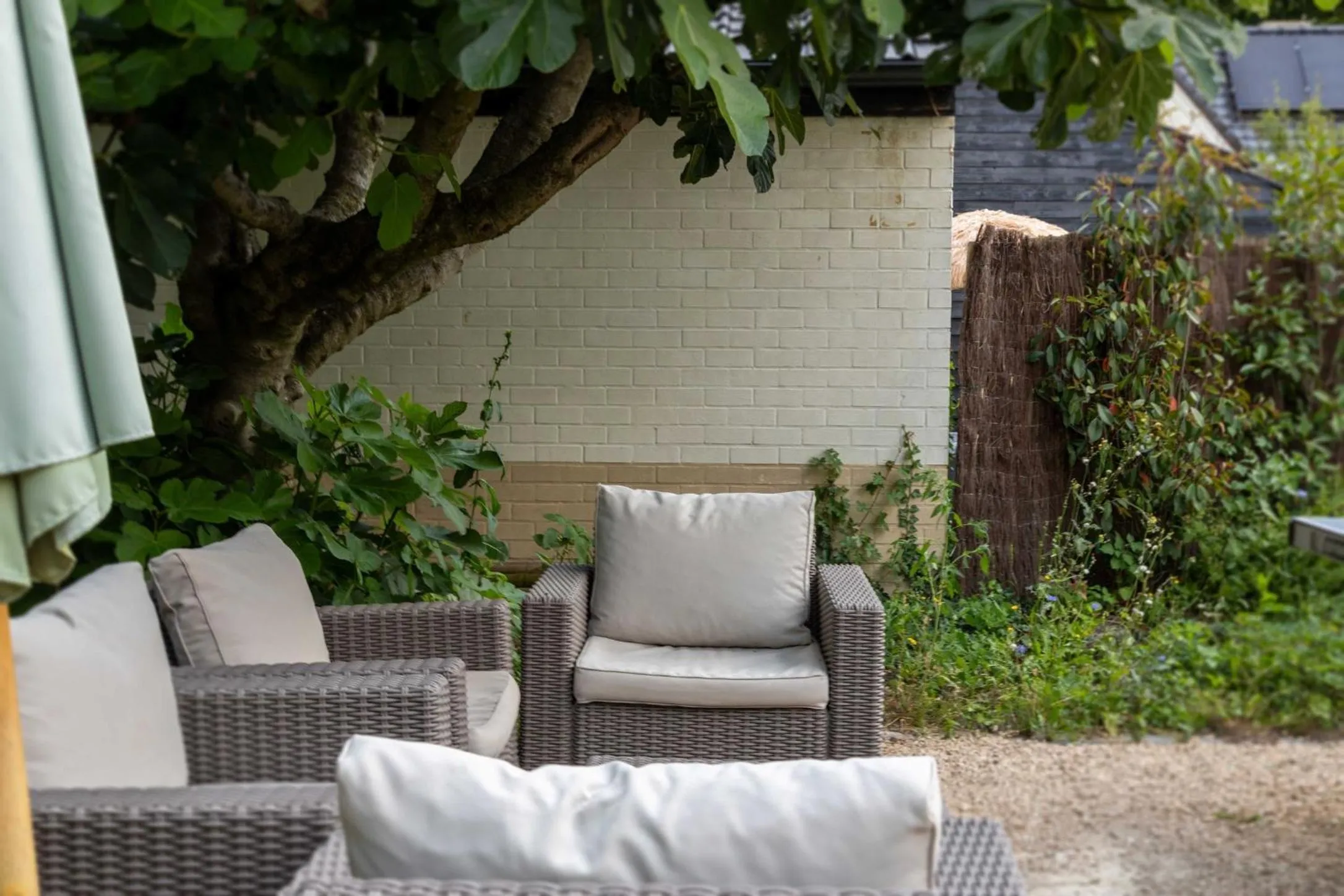 Patio in Atlas Guesthouse