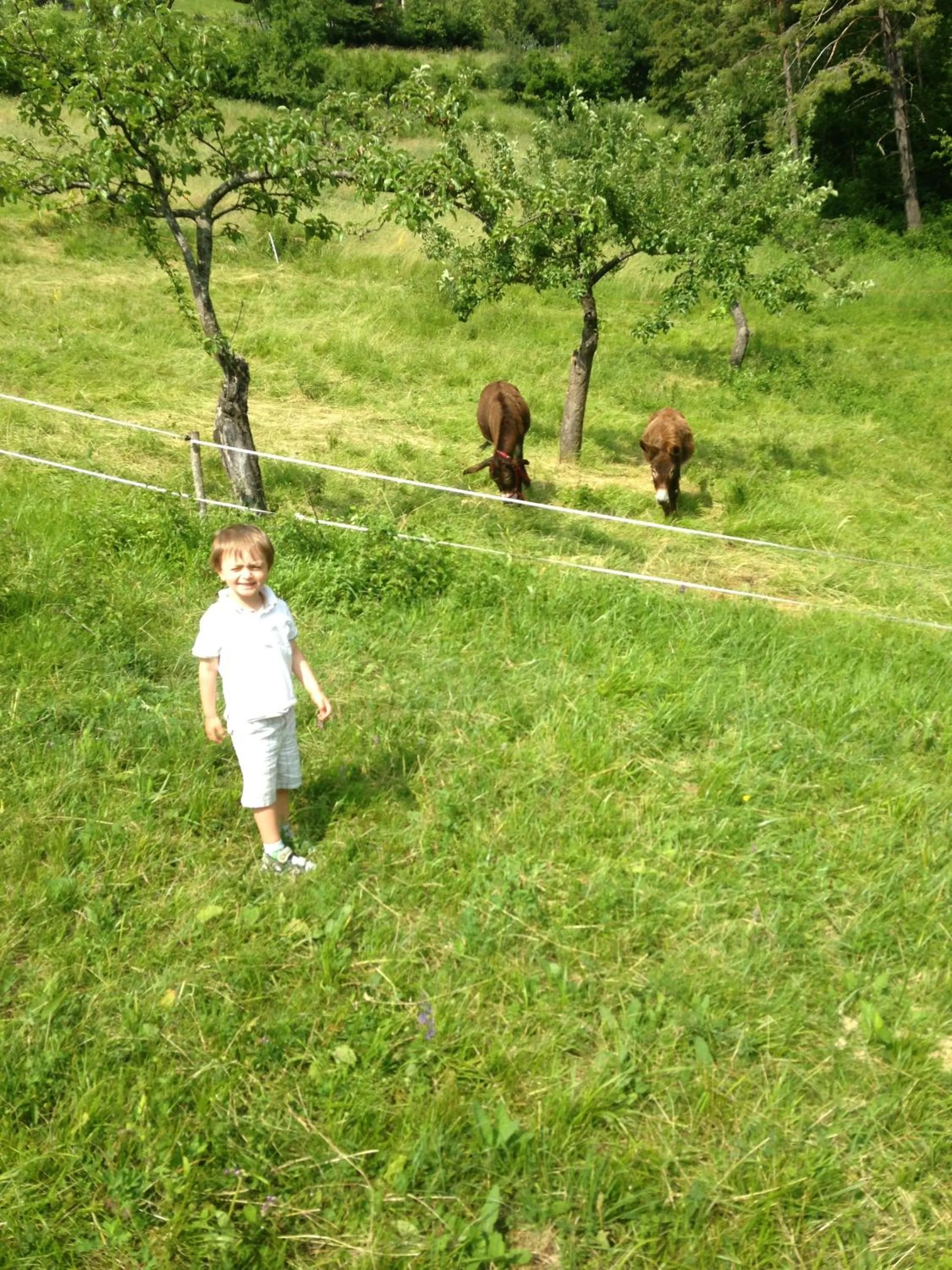 Garden in Relais Fior di Bosco