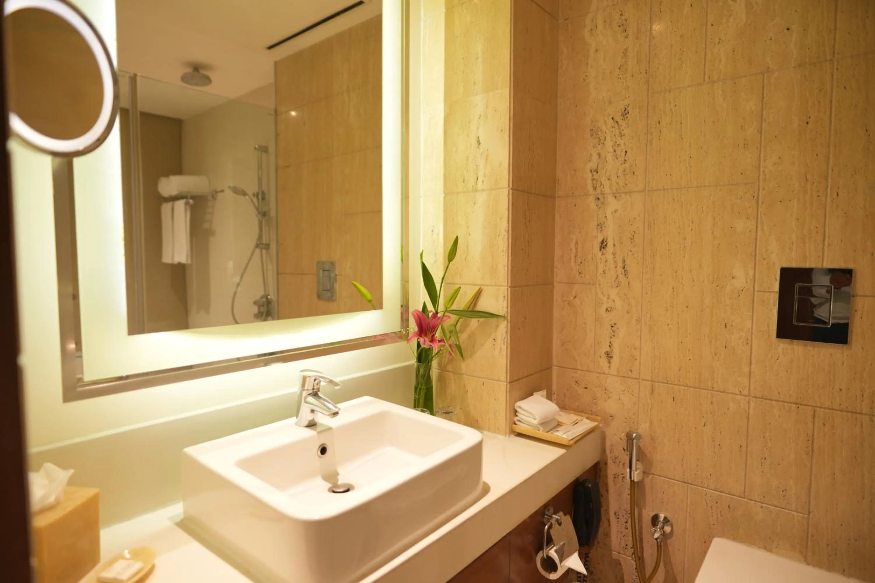 Shower in DoubleTree by Hilton Gurgaon New Delhi NCR