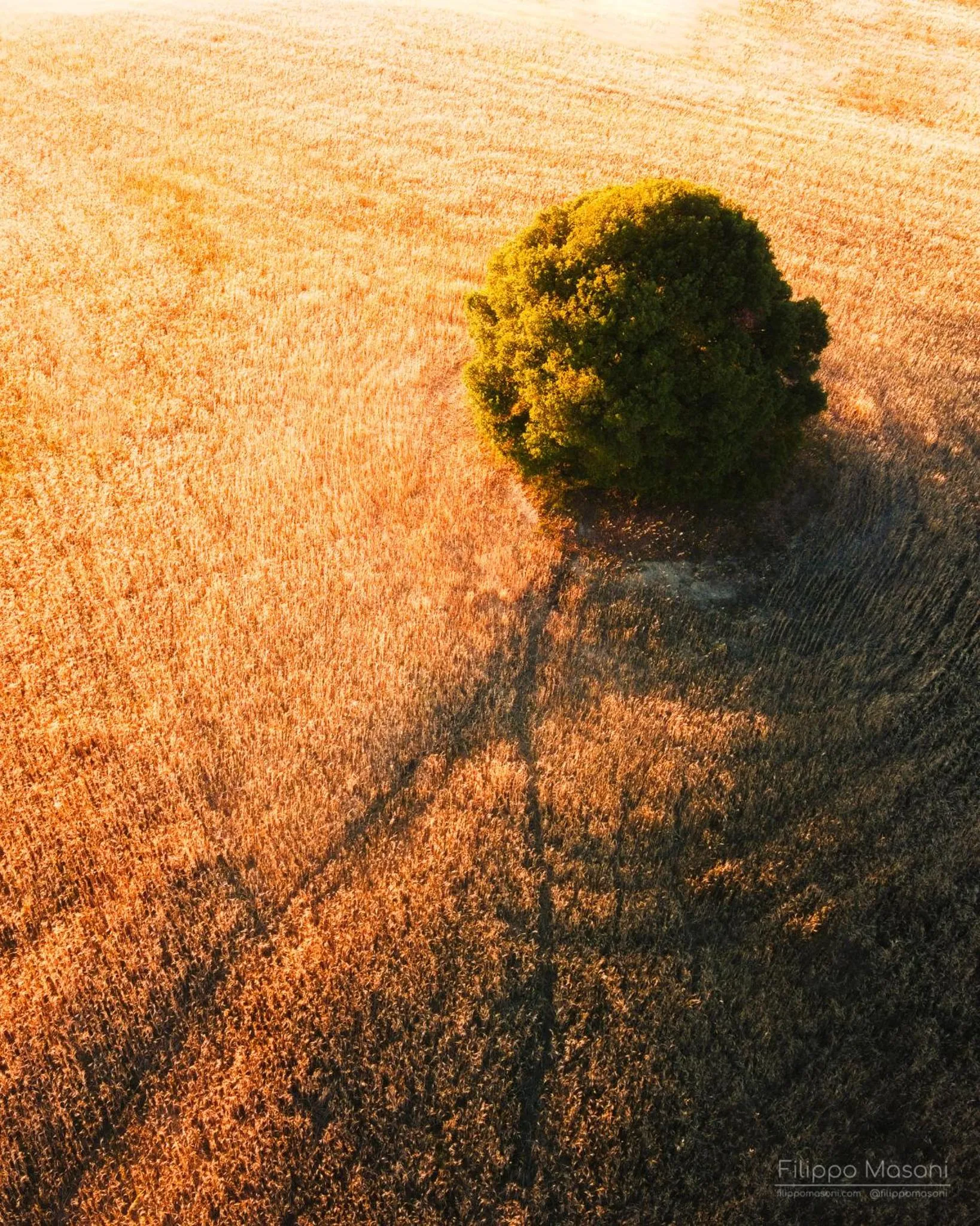 Natural landscape in Fattoria Pieve a Salti