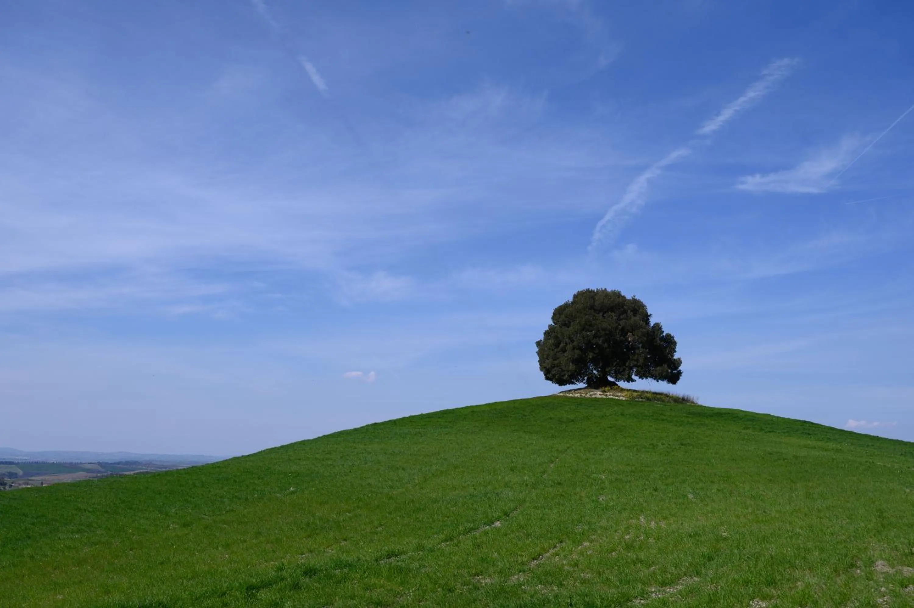 Natural landscape in Fattoria Pieve a Salti