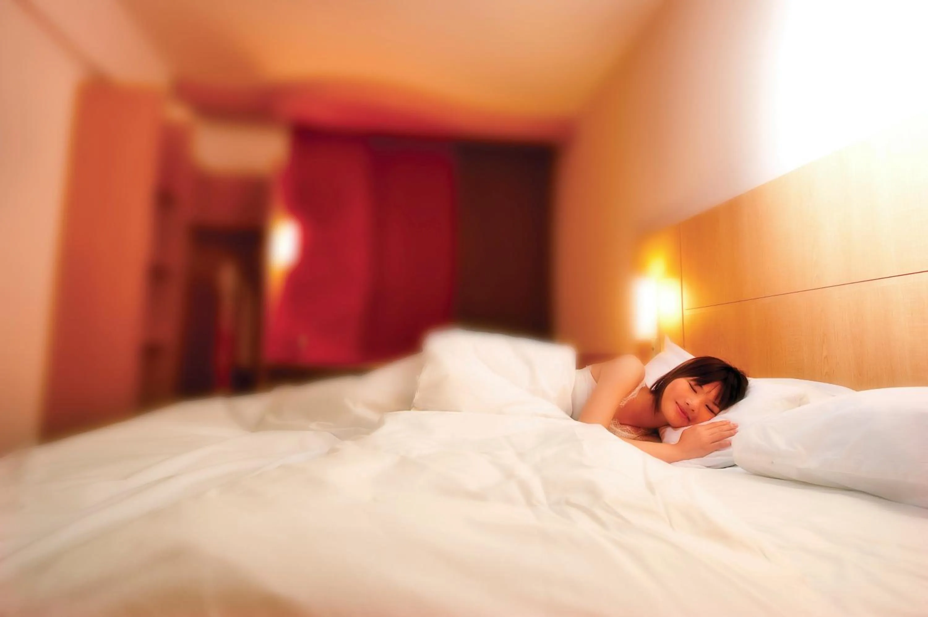 Bed in Ibis San Luis Potosi