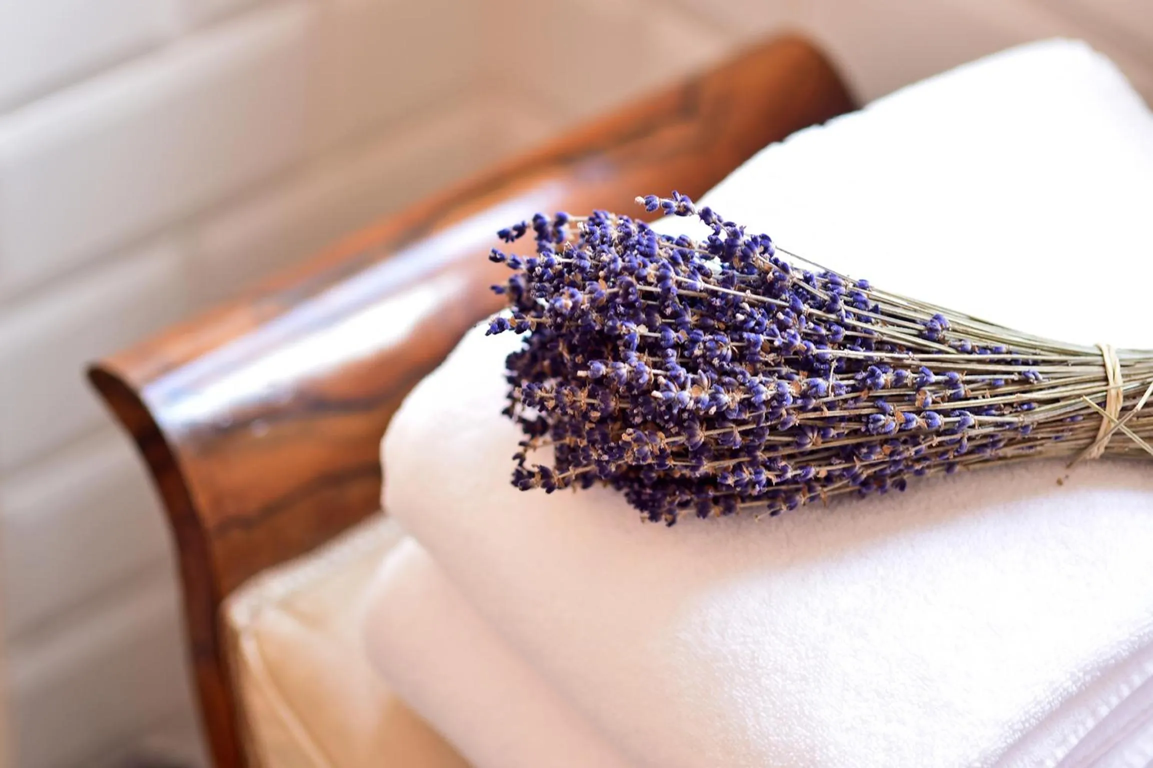 Other in Casa Balthazar