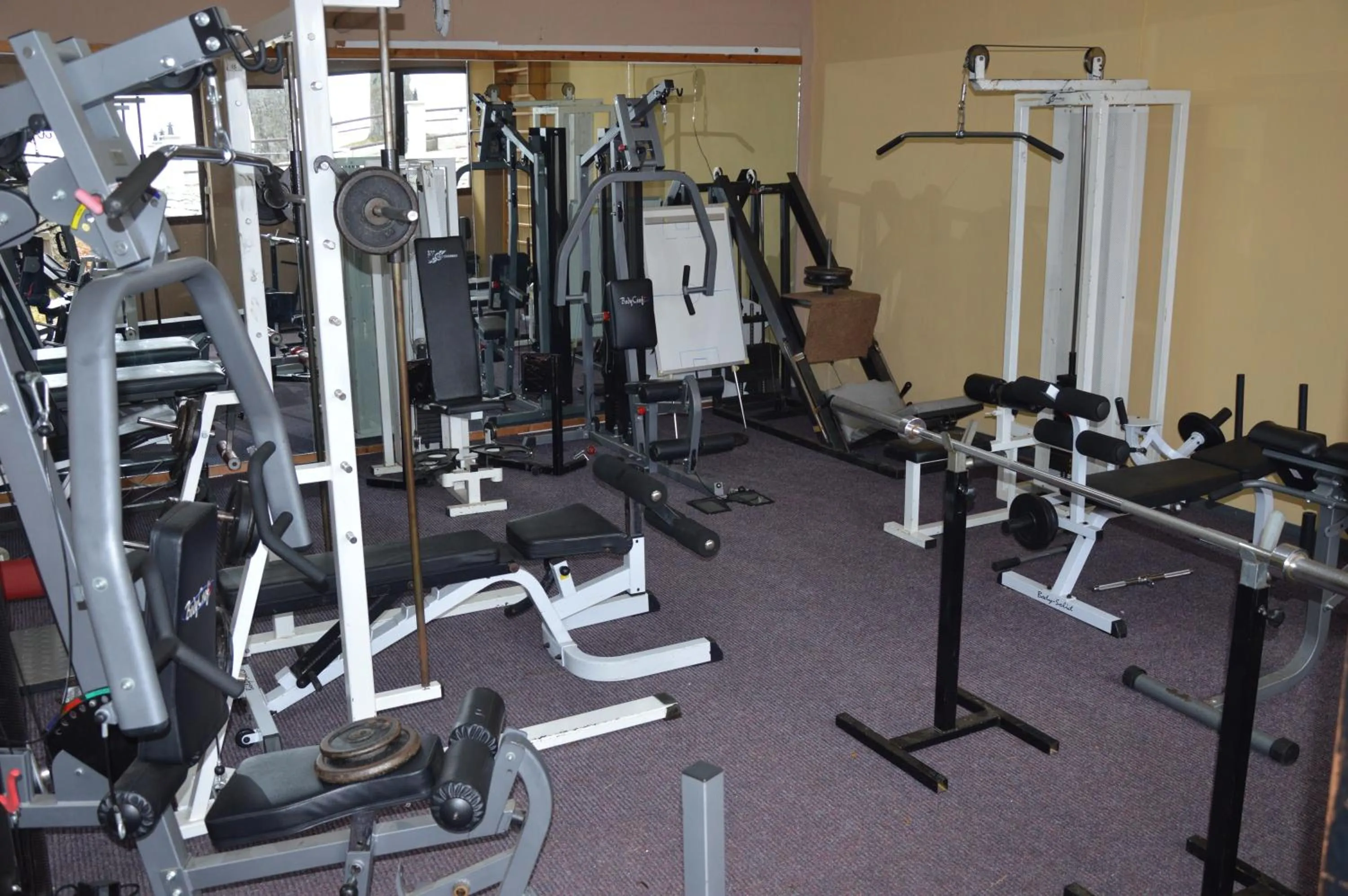Fitness centre/facilities in Hotel Hani Zisi