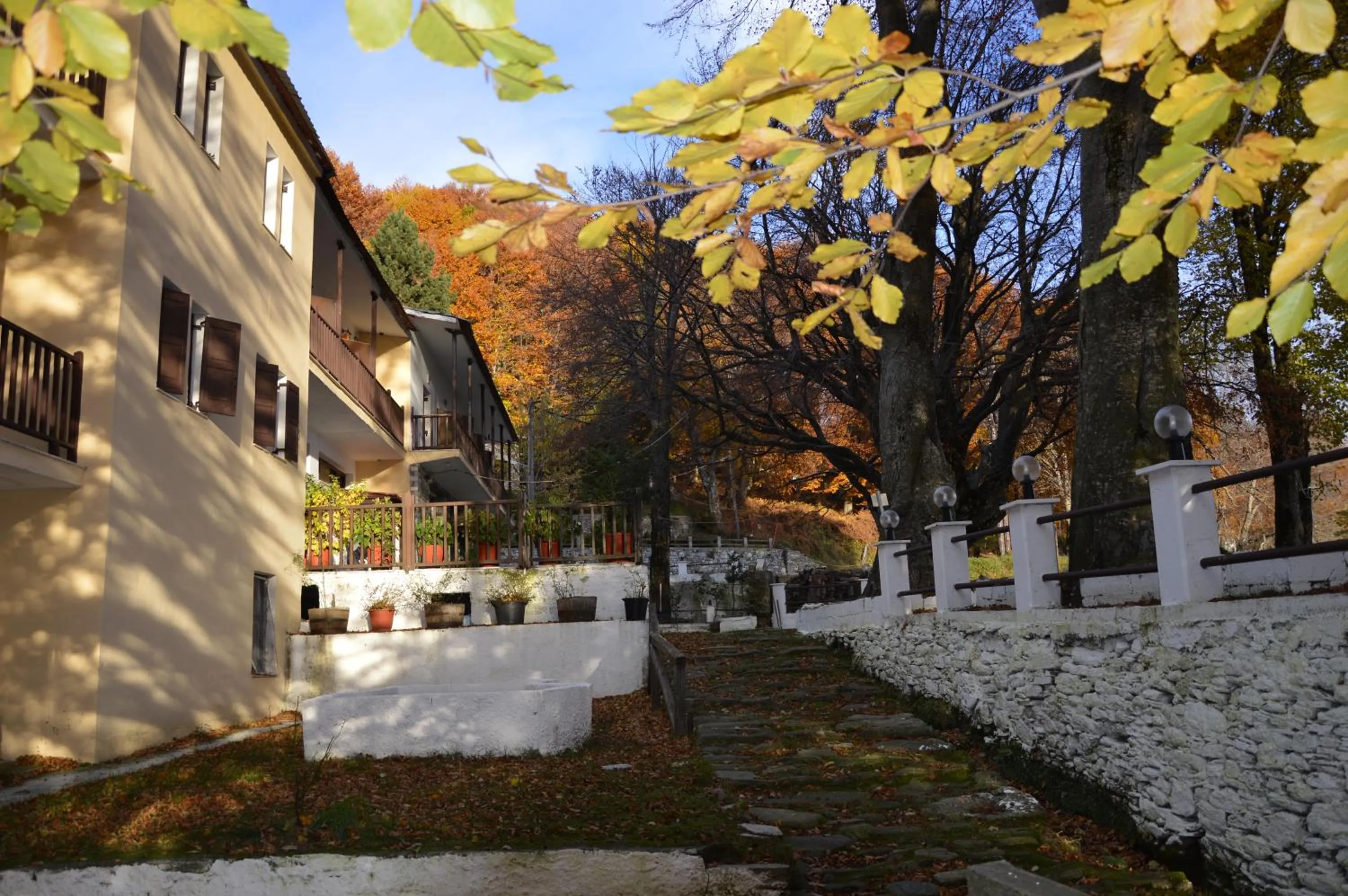 Facade/entrance in Hotel Hani Zisi