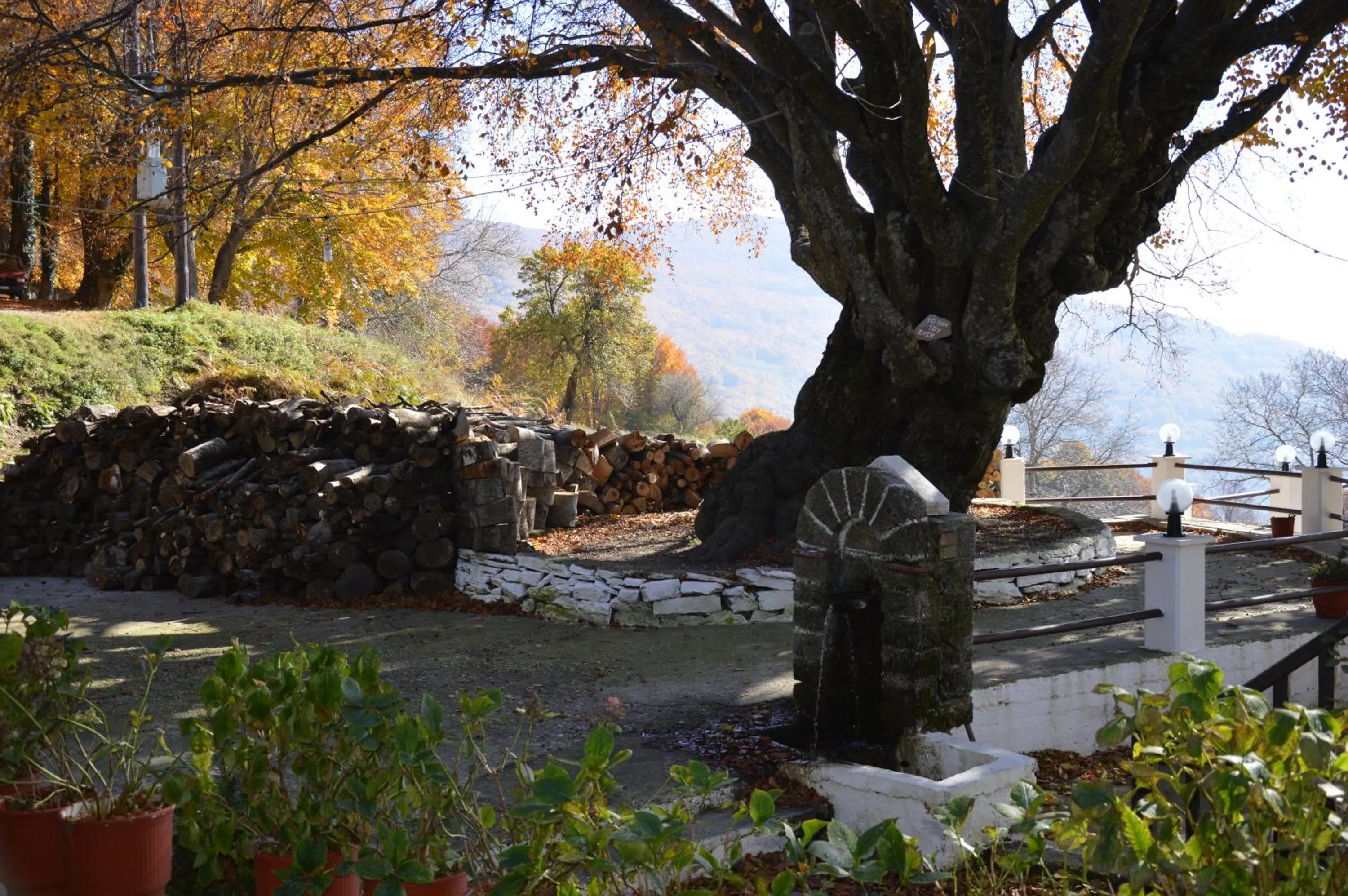 Garden view in Hotel Hani Zisi