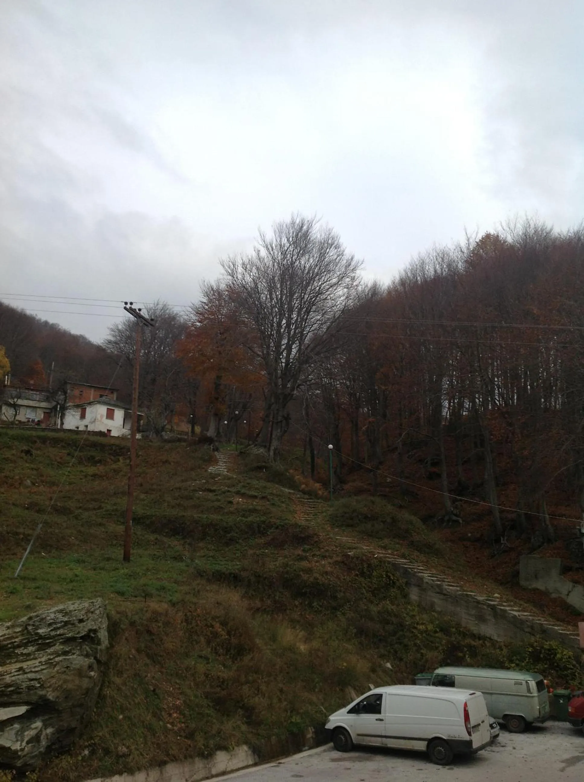 Area and facilities in Hotel Hani Zisi