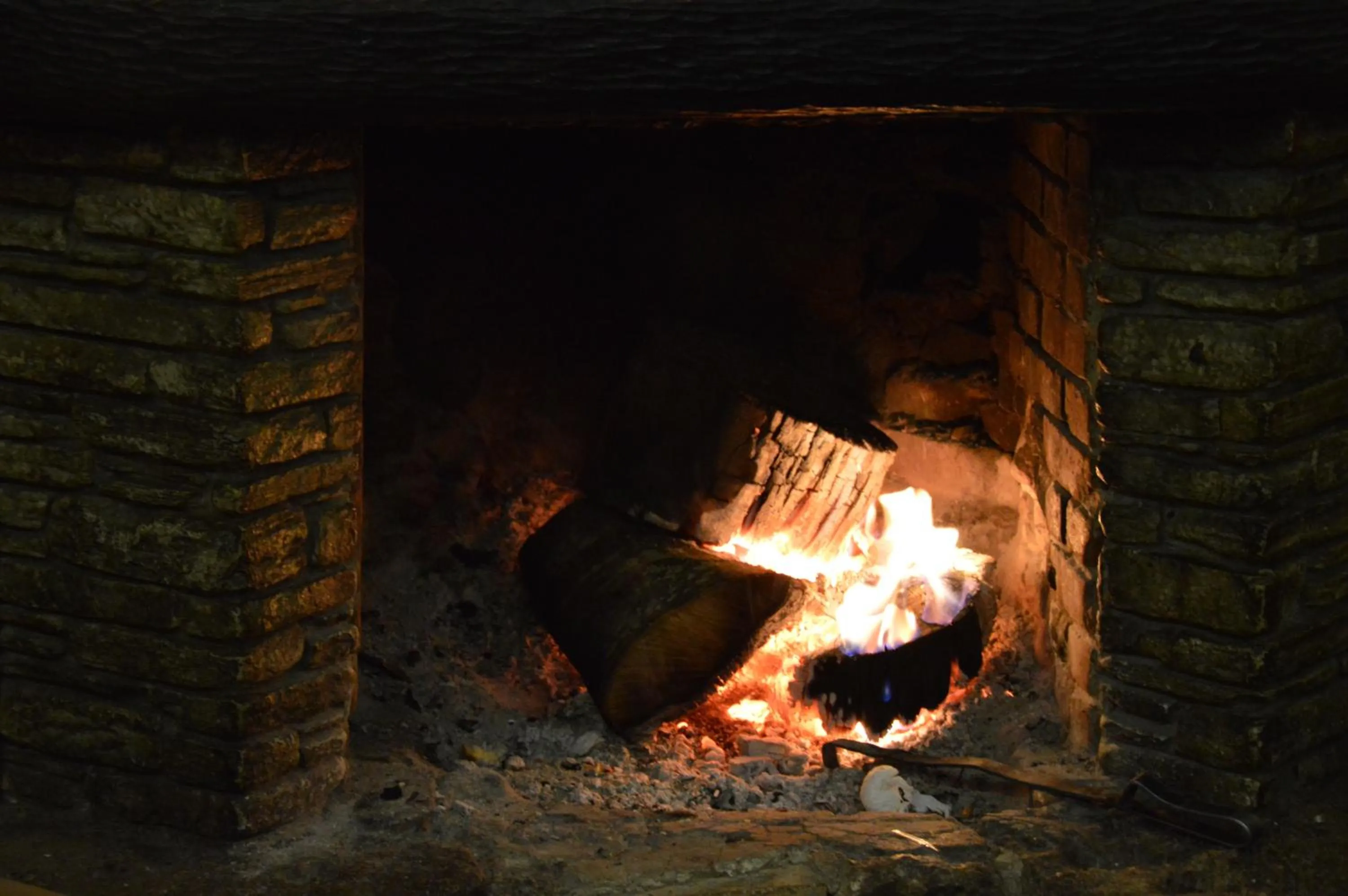 Restaurant/places to eat in Hotel Hani Zisi