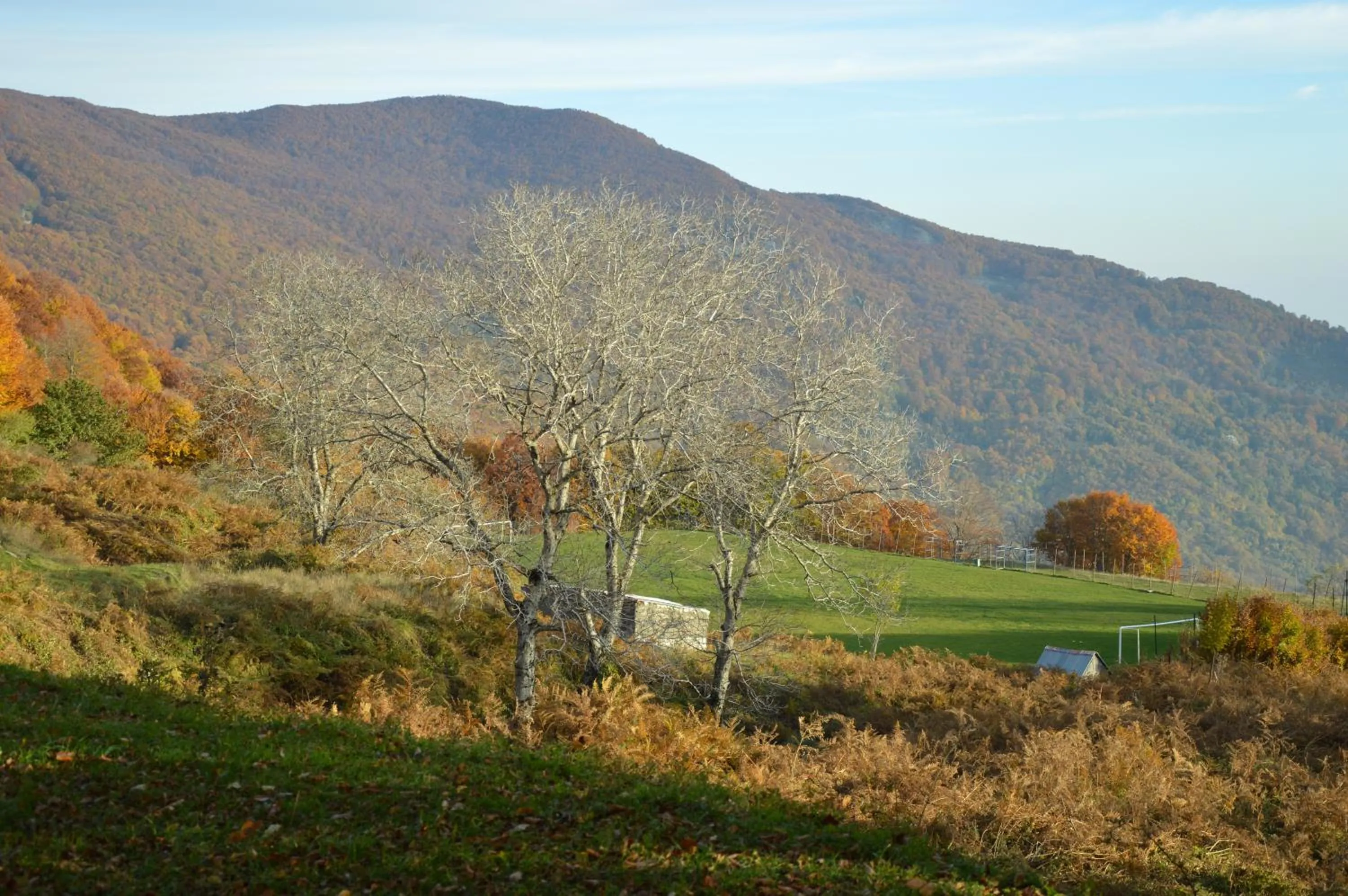 Autumn in Hotel Hani Zisi