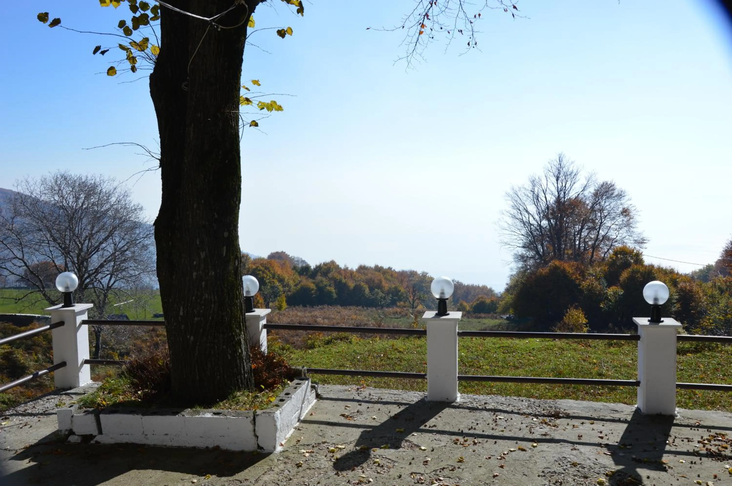 Garden view in Hotel Hani Zisi