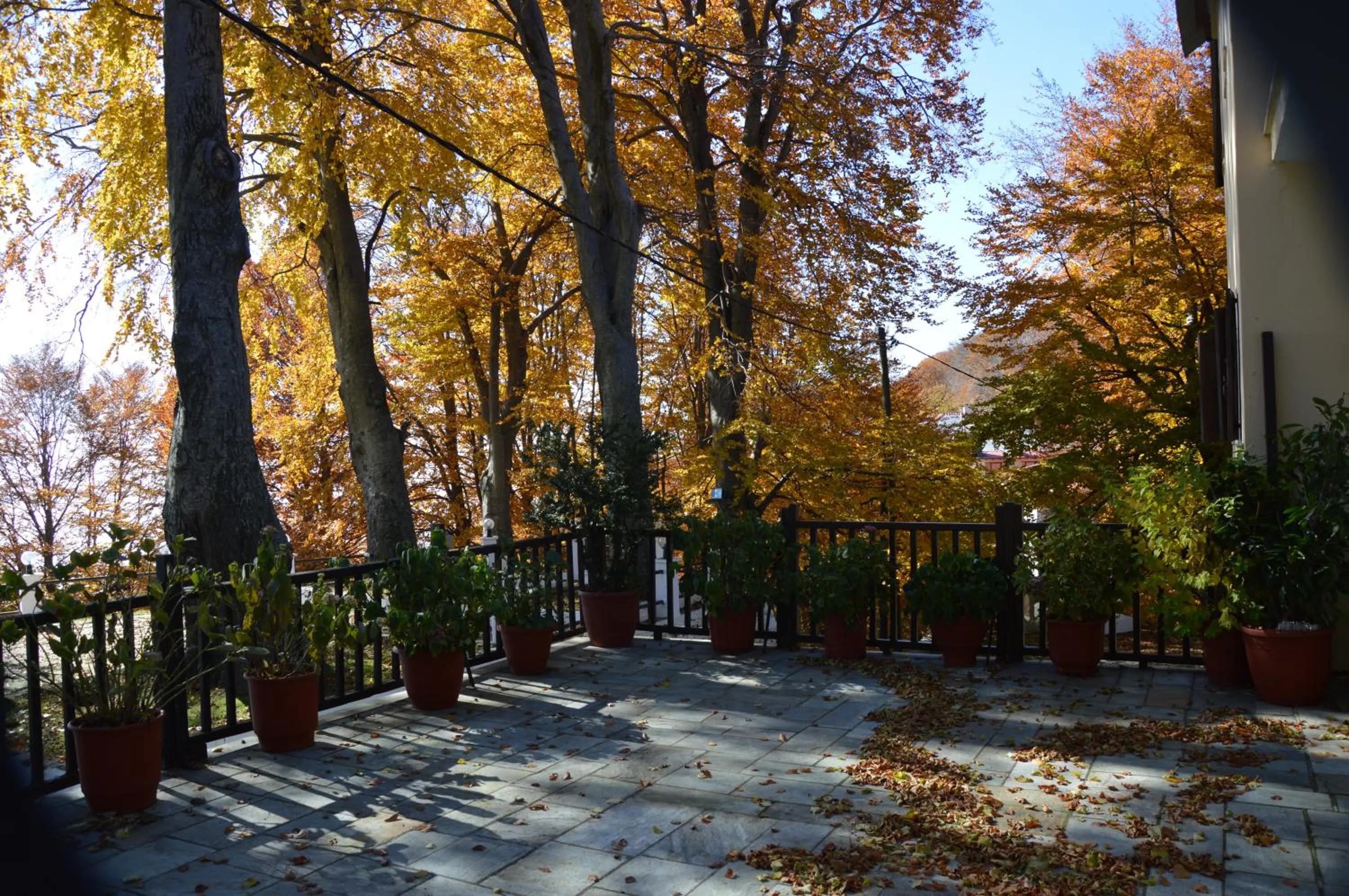 Autumn in Hotel Hani Zisi