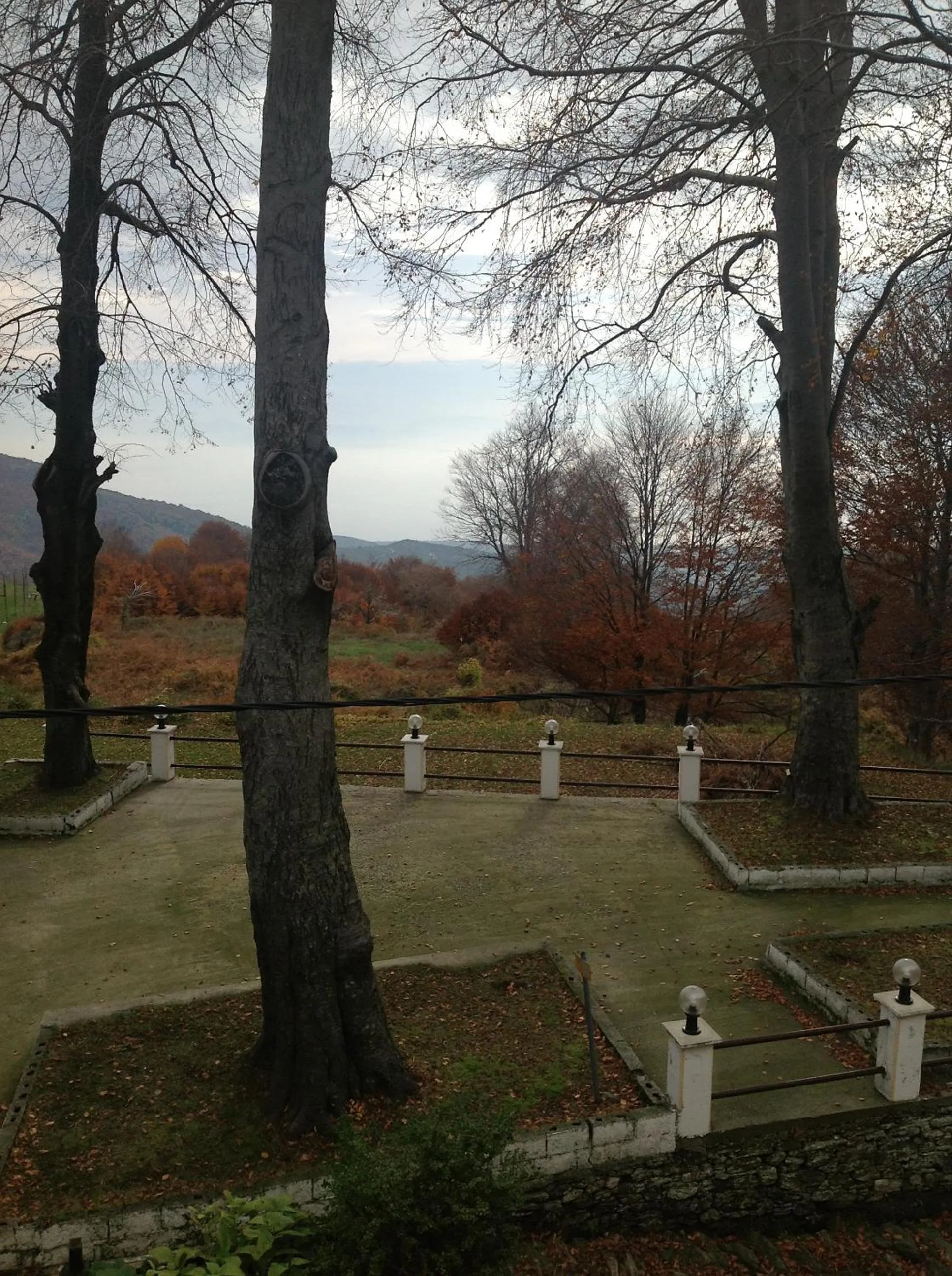 Area and facilities in Hotel Hani Zisi