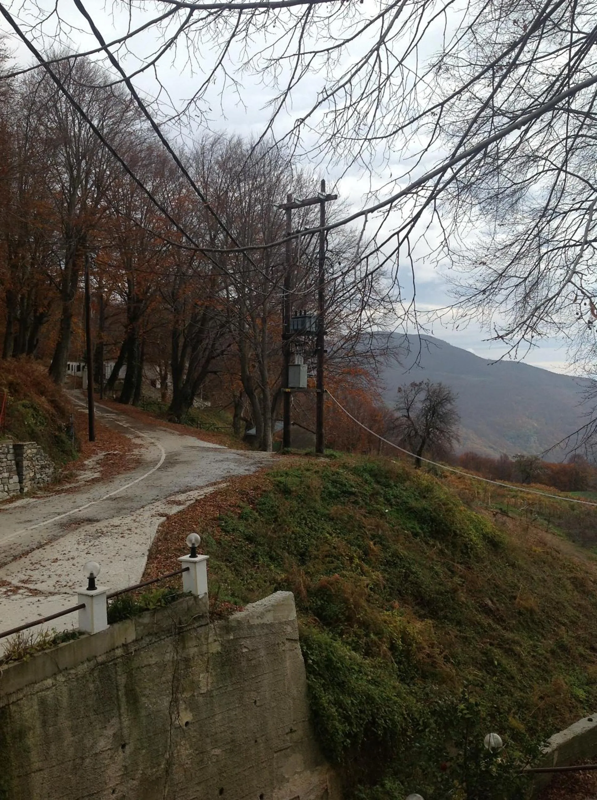 Area and facilities in Hotel Hani Zisi