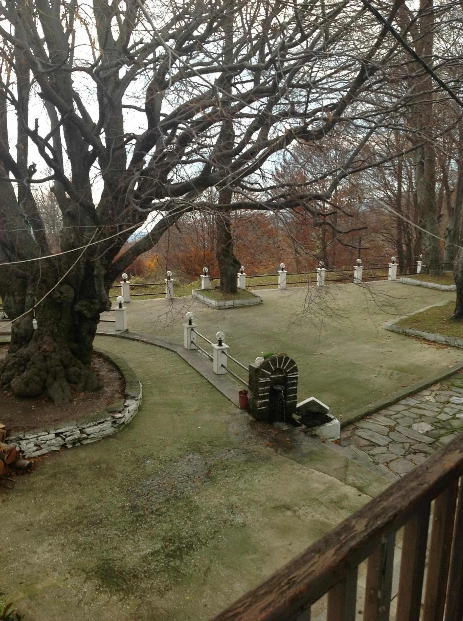 Area and facilities in Hotel Hani Zisi