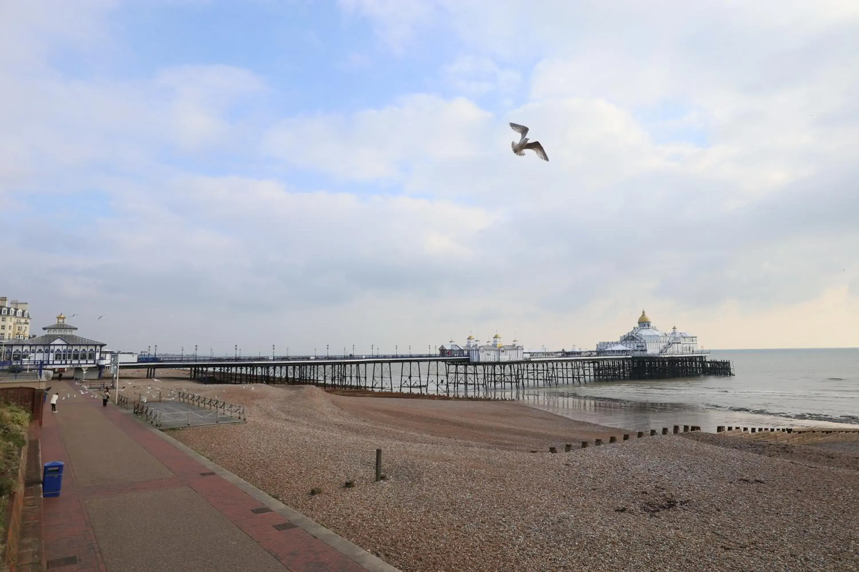 Beach in Citrus Hotel Eastbourne by Compass Hospitality