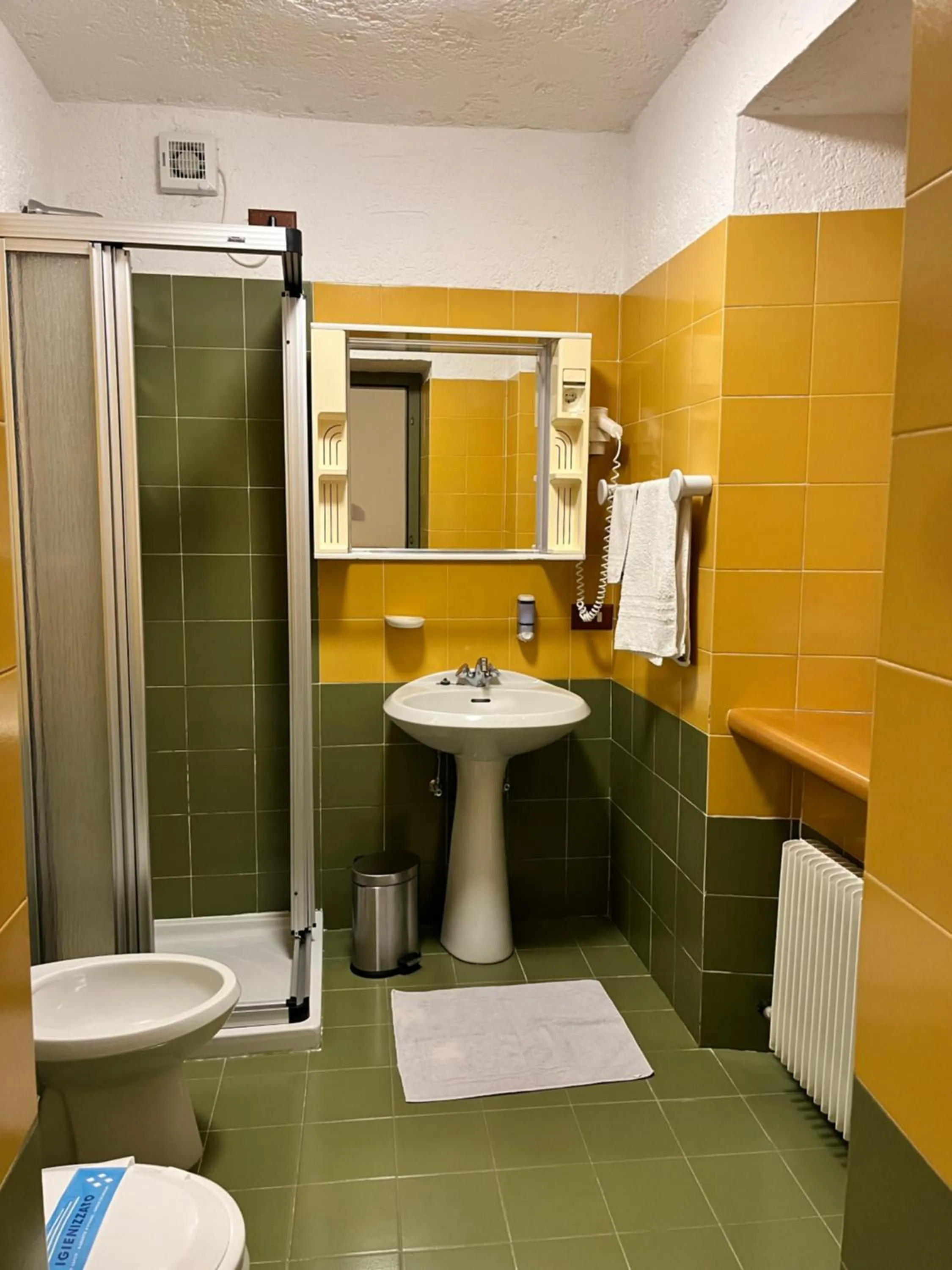 Bathroom in Hotel Zanella