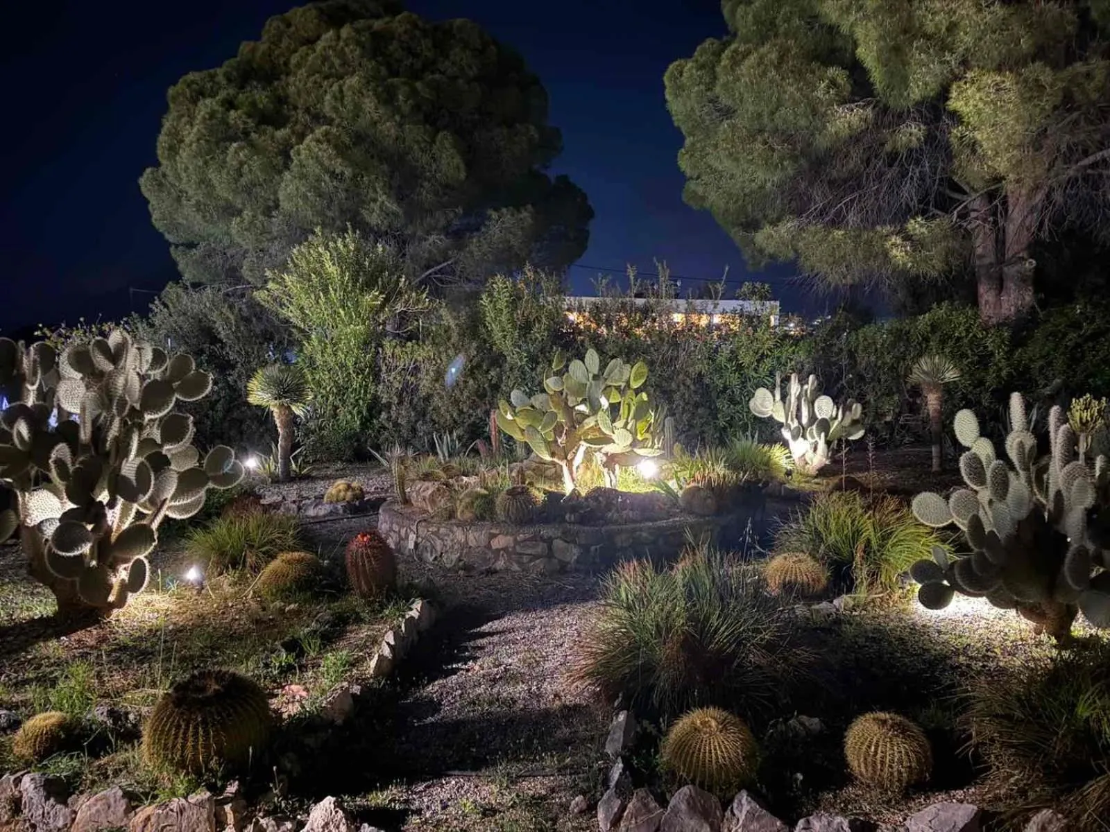 George Beach Studios