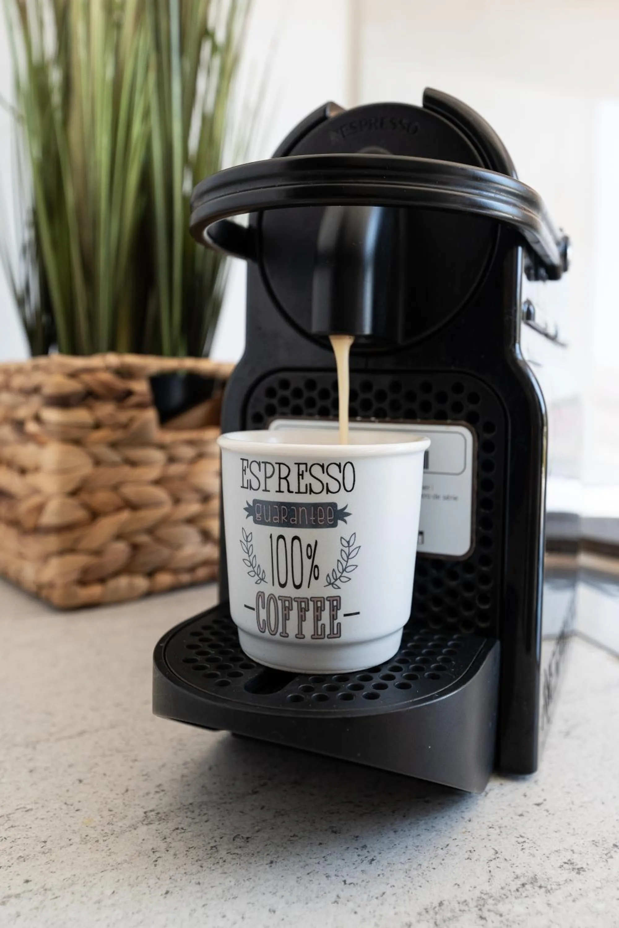 George Beach Studios