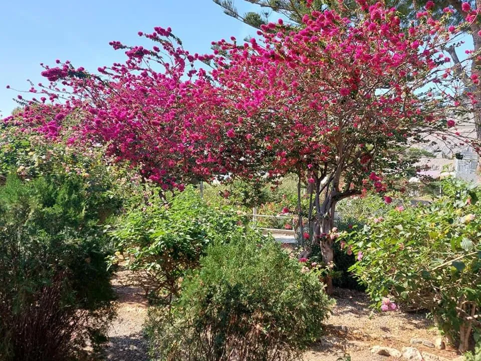 George Beach Studios