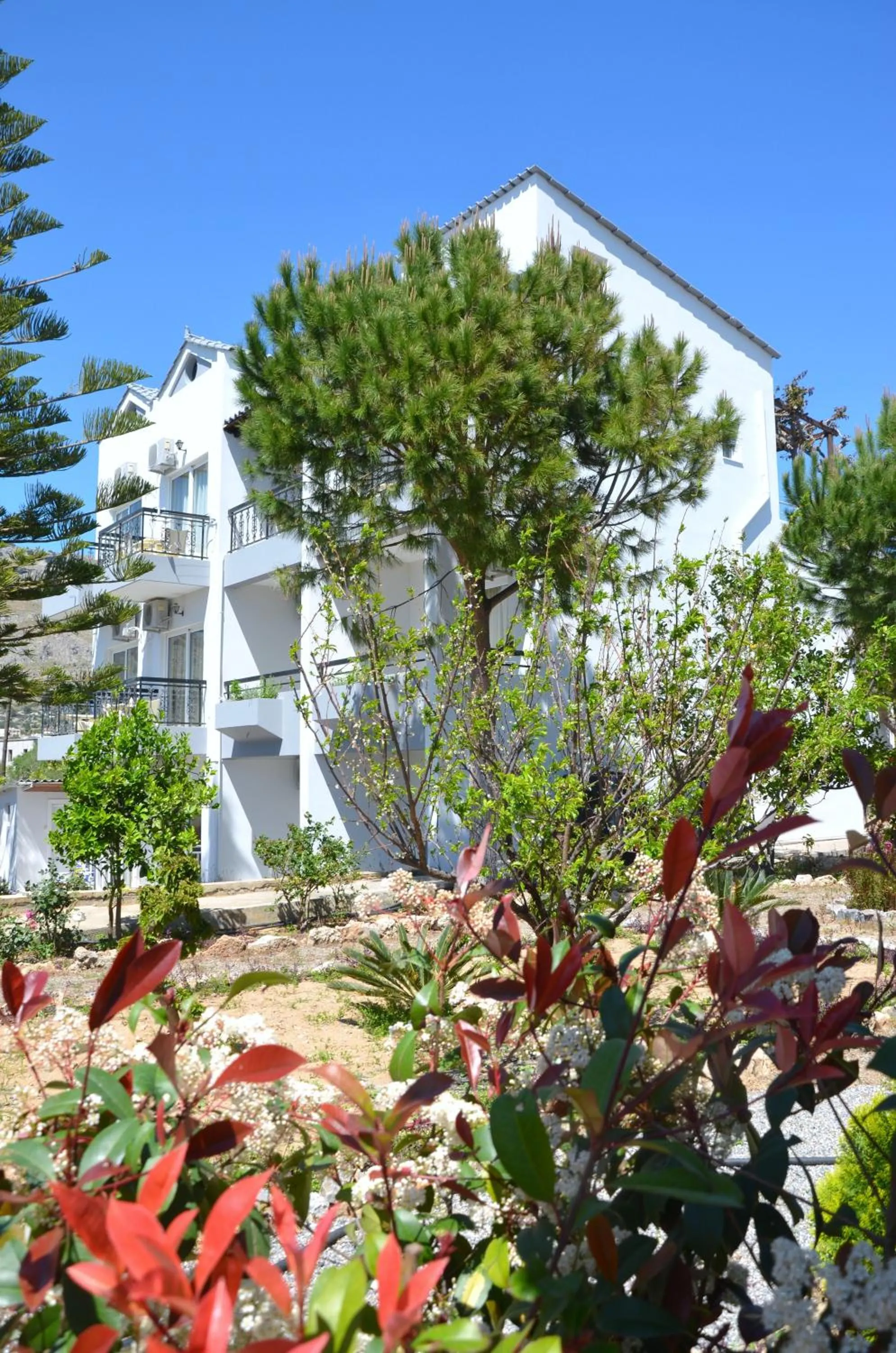 Facade/entrance in George Beach Studios