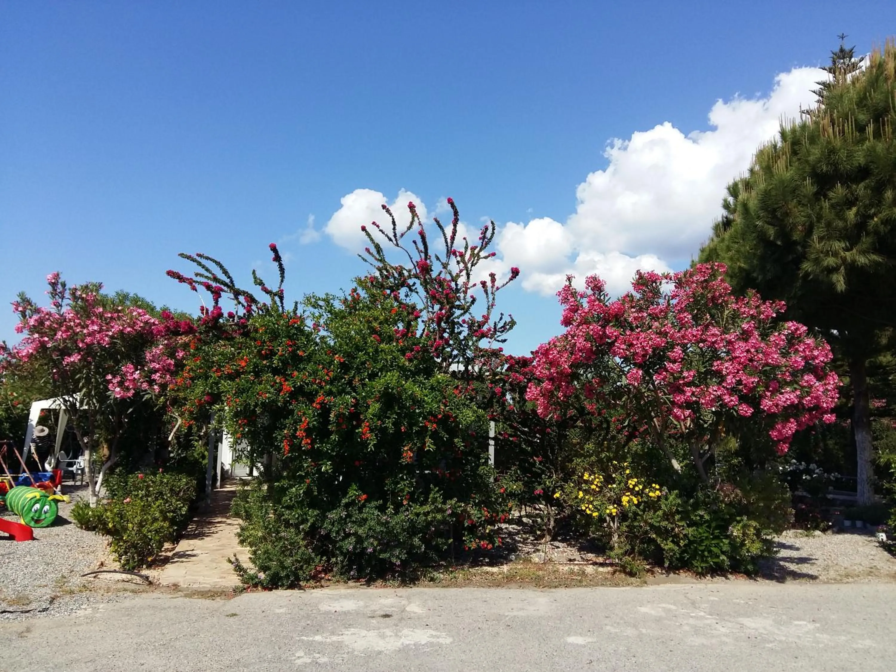 Other in George Beach Studios