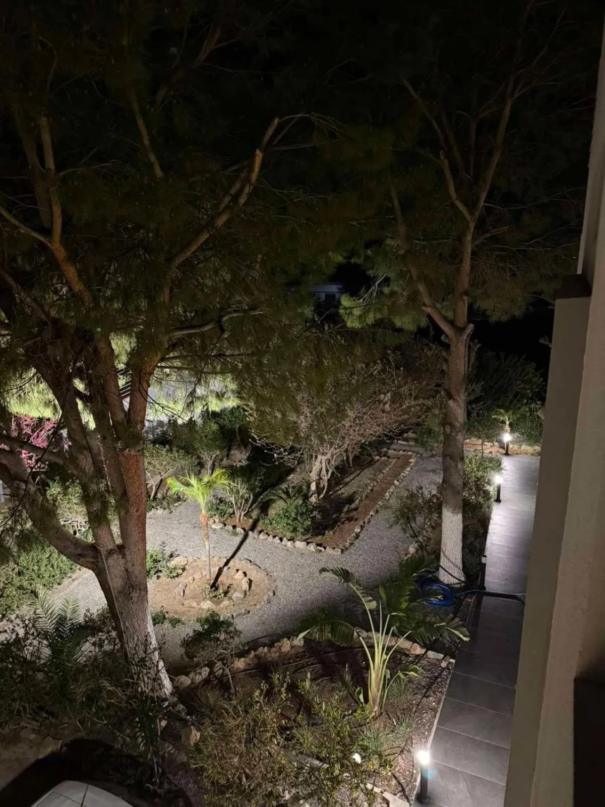 George Beach Studios